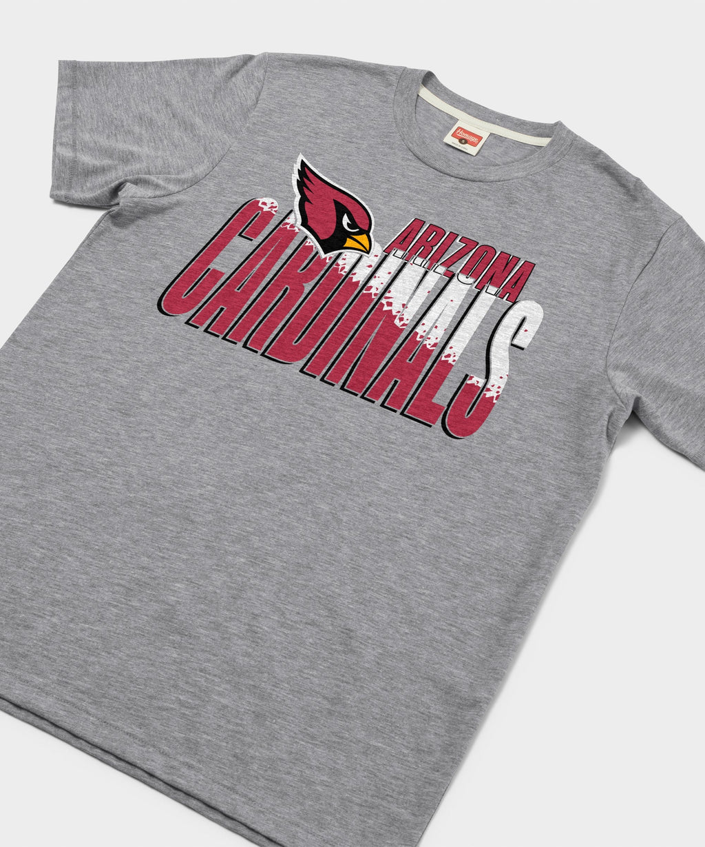 Arizona Cardinals Color Splash