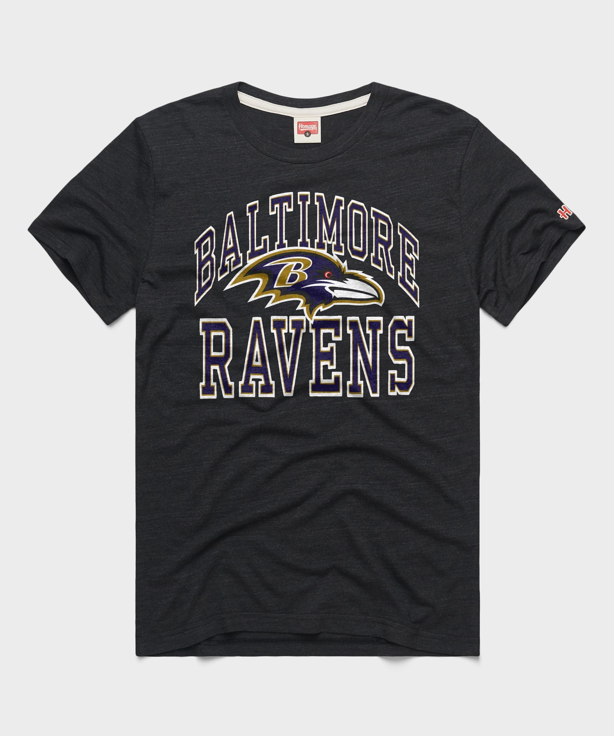 Baltimore Ravens Arch