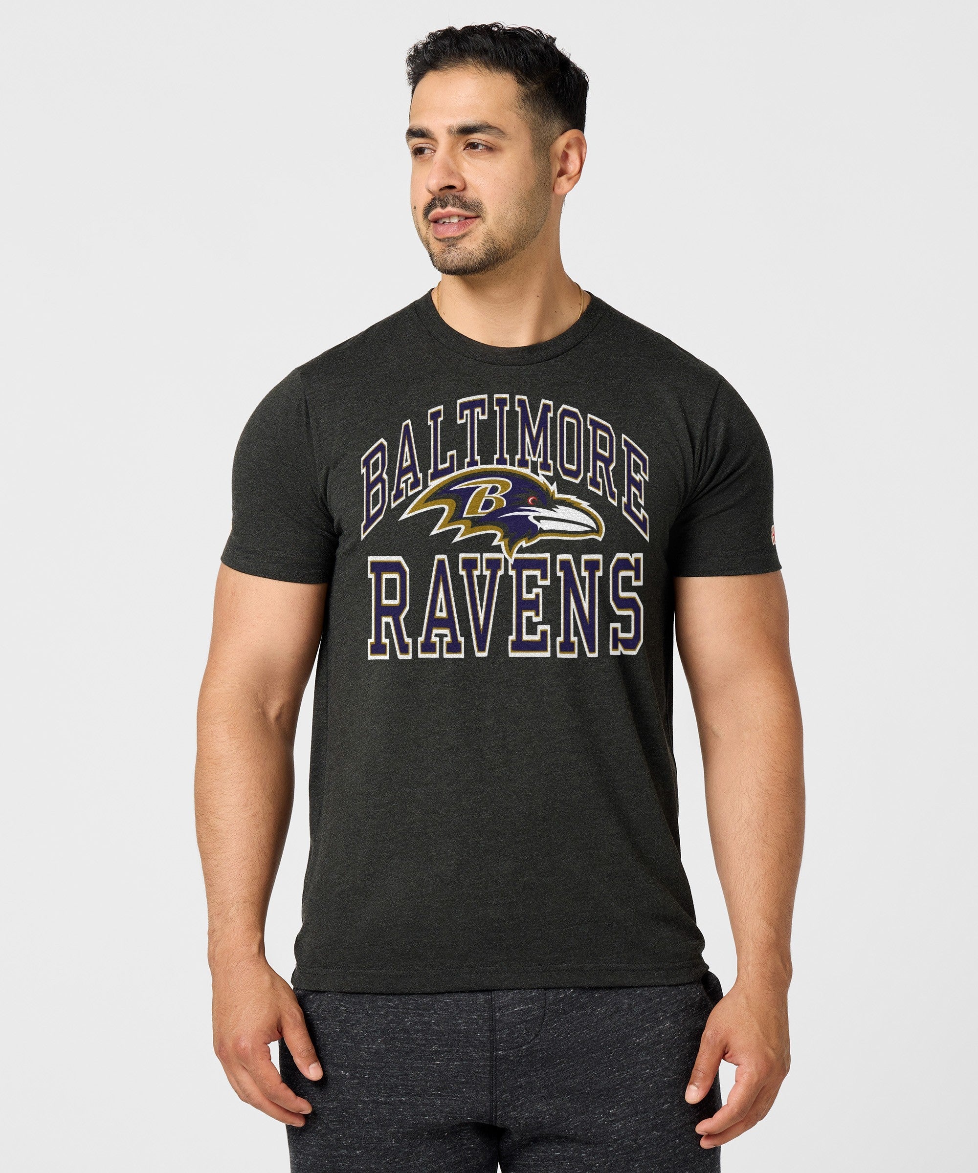 Baltimore Ravens Arch