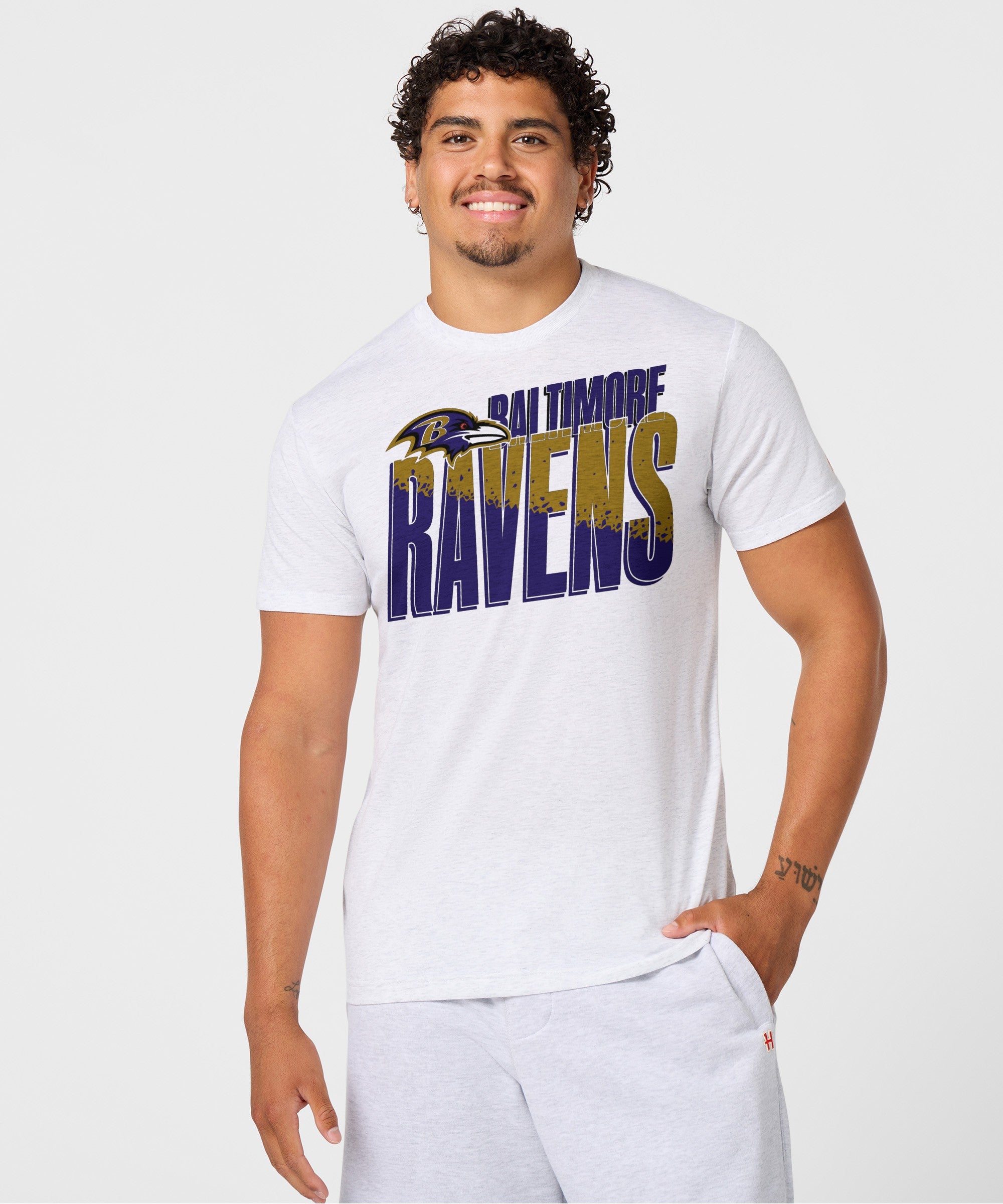Baltimore Ravens Color Splash