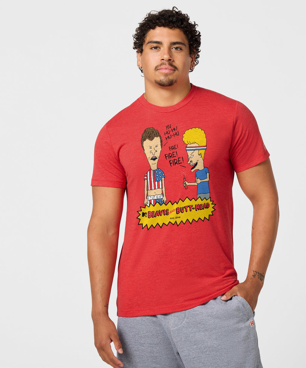 Beavis And Butt-Head Fireworks