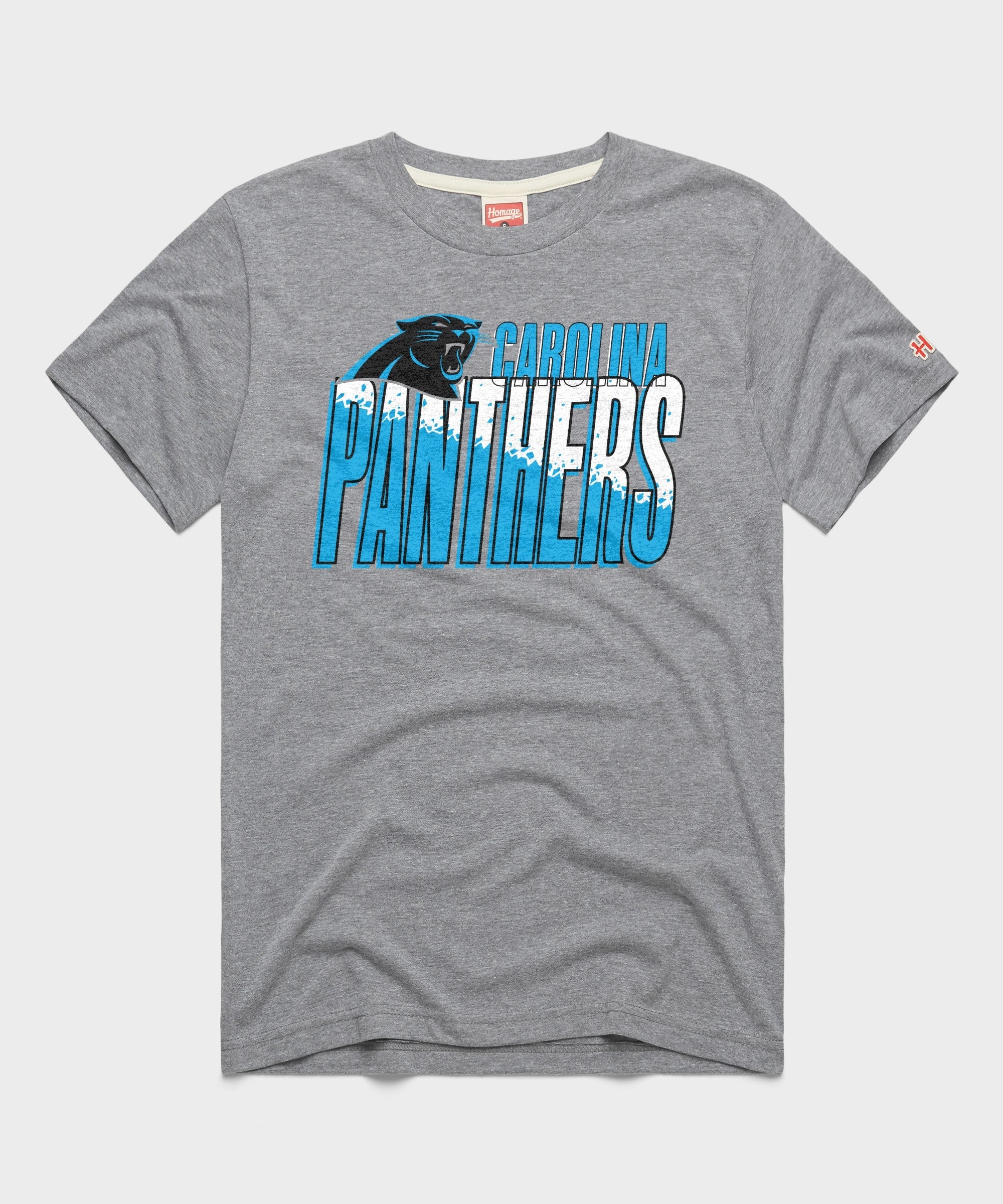 Carolina Panthers Color Splash