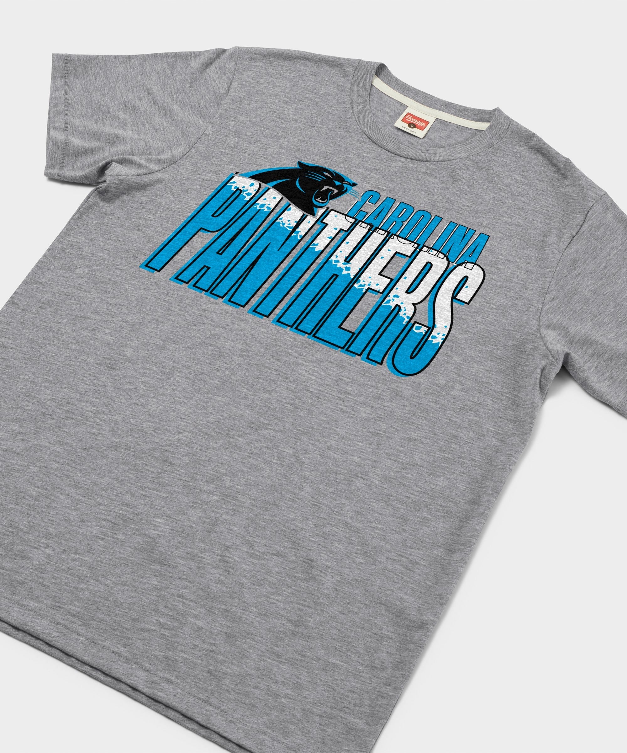 Carolina Panthers Color Splash