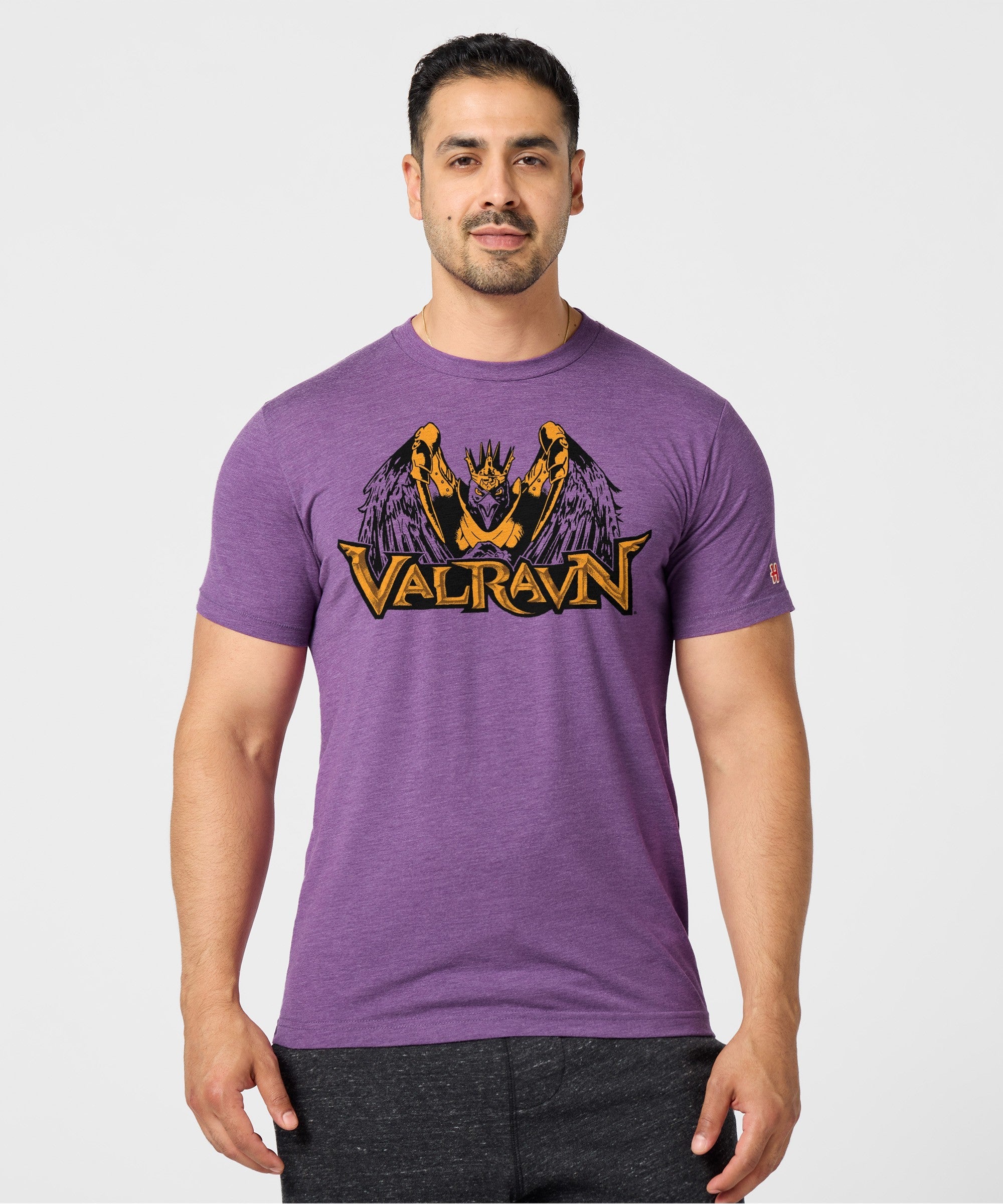 Cedar Point Valravn