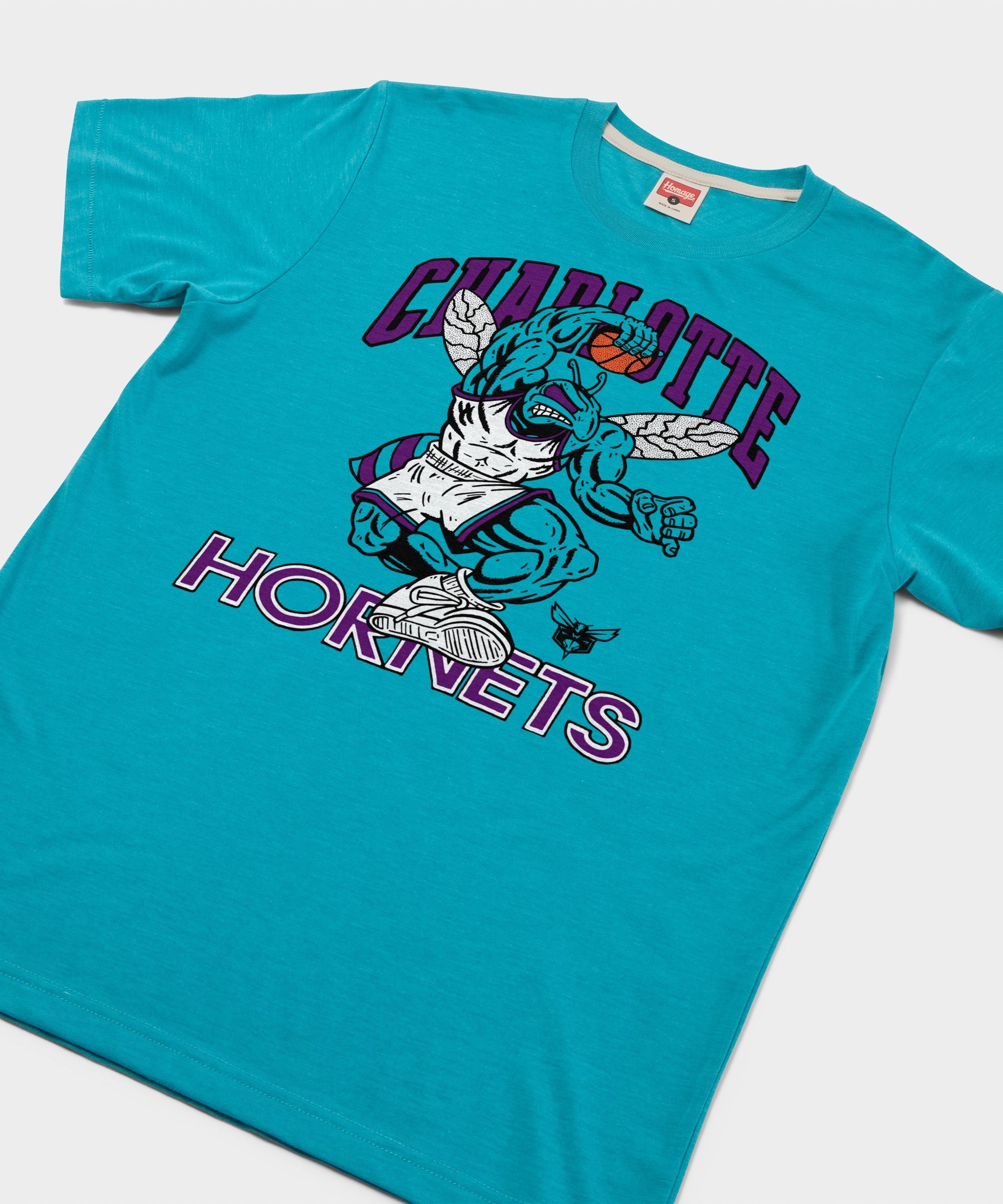 Charlotte Hornets Hugo The Hornet