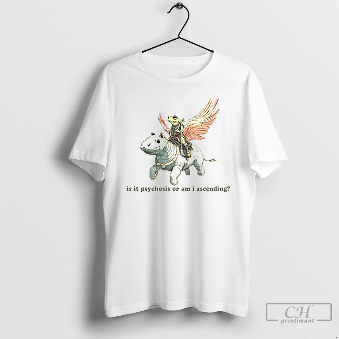 Classic Frog Driving Hippo Is It Psychosis Or Am I Ascending T Shirts Hoodie, Sweatshirt | InkNestWear.com
