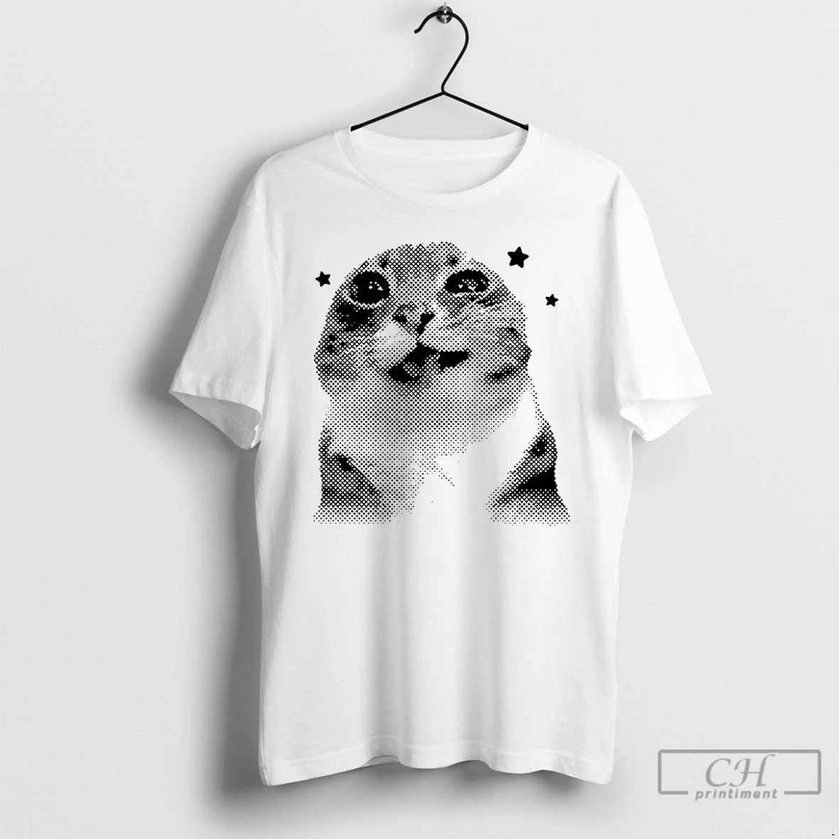 Classic Rigby Cat Star Meme Retro T Shirts Hoodie, Sweatshirt | InkNestWear.com