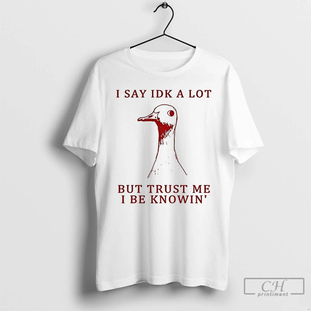 Classic Silly Goose Understands Everything I Say Idk A Lot But Trust Me I Be T-Shirts, Hoodie, Sweatshirt | InkNestWear.com