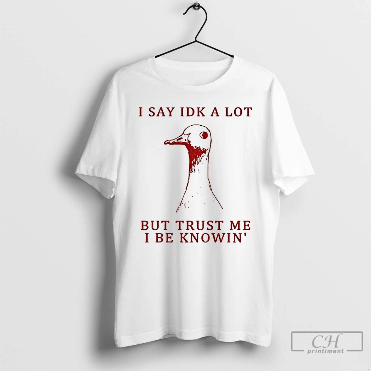 Classic Silly Goose Understands Everything I Say Idk A Lot But Trust Me I Be T-Shirts, Hoodie, Sweatshirt | InkNestWear.com
