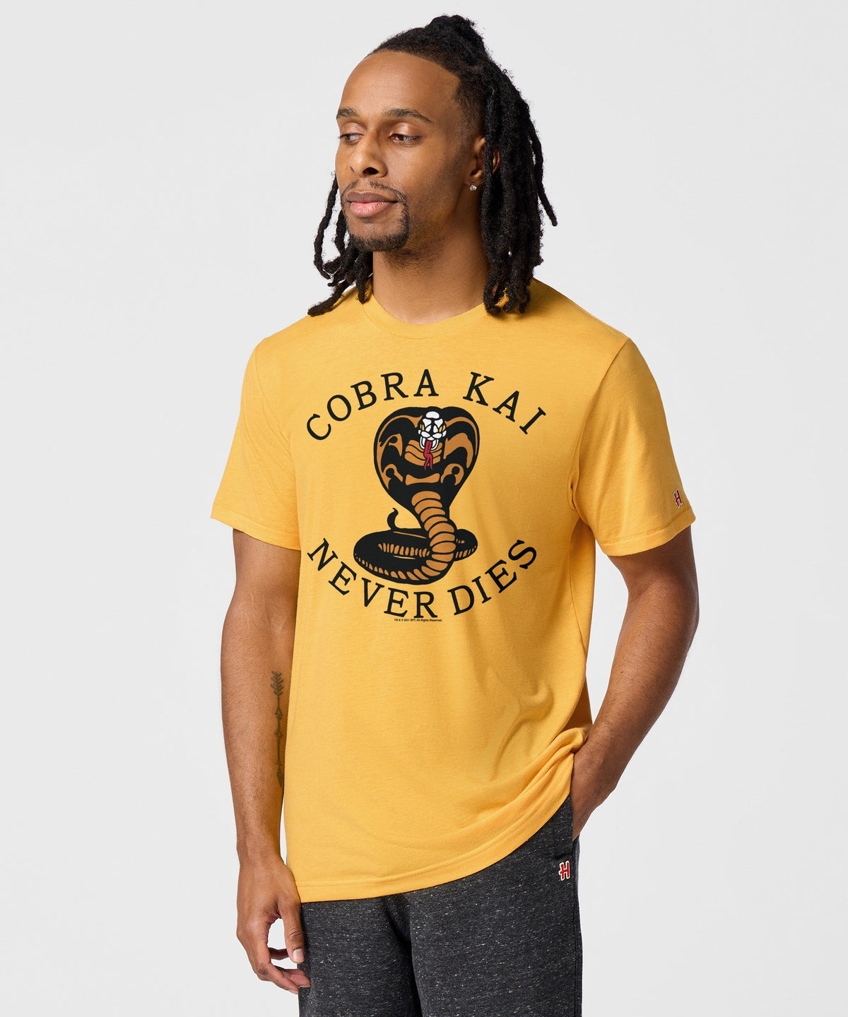 Cobra Kai Never Dies