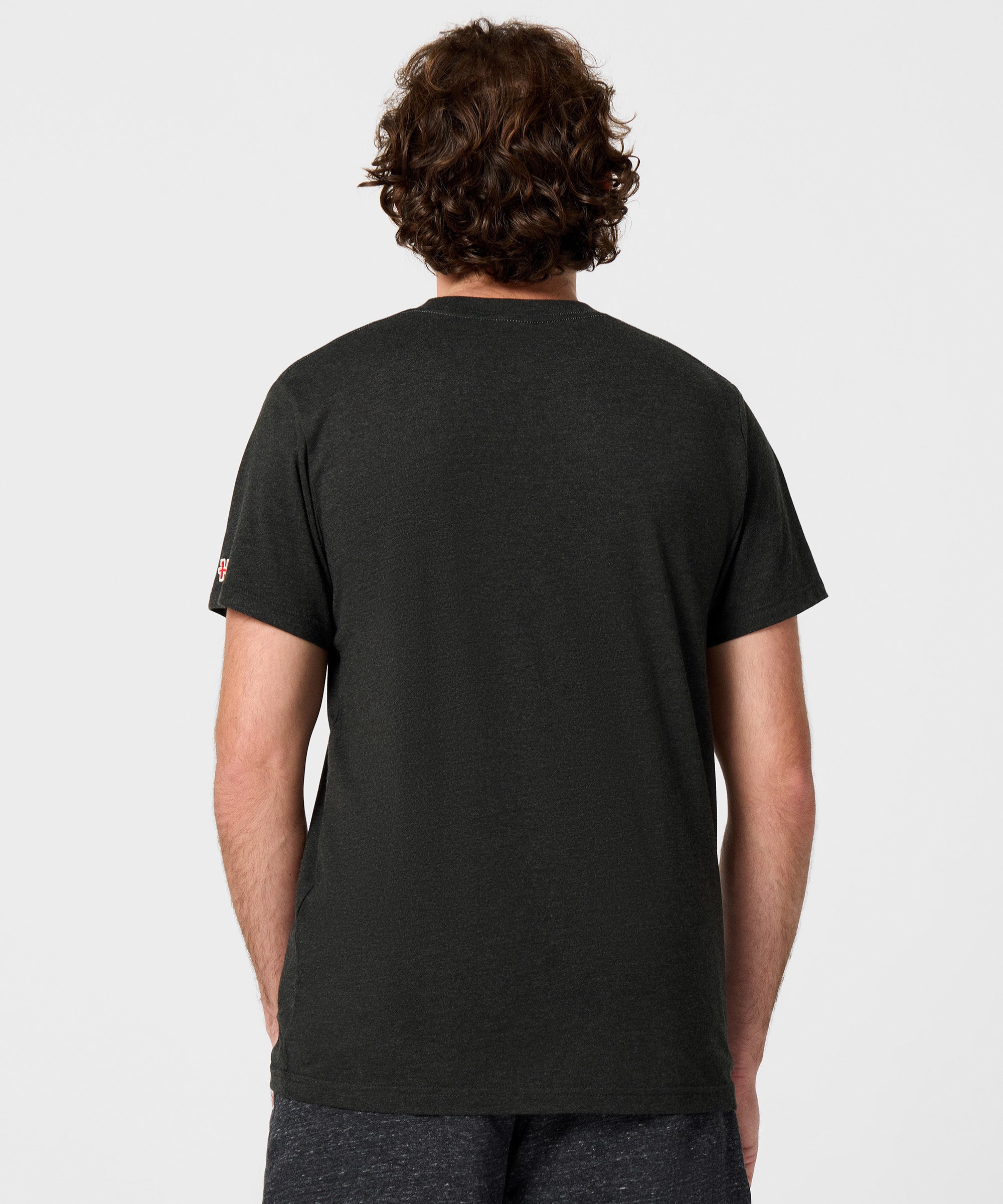 Comiskey Park Sox