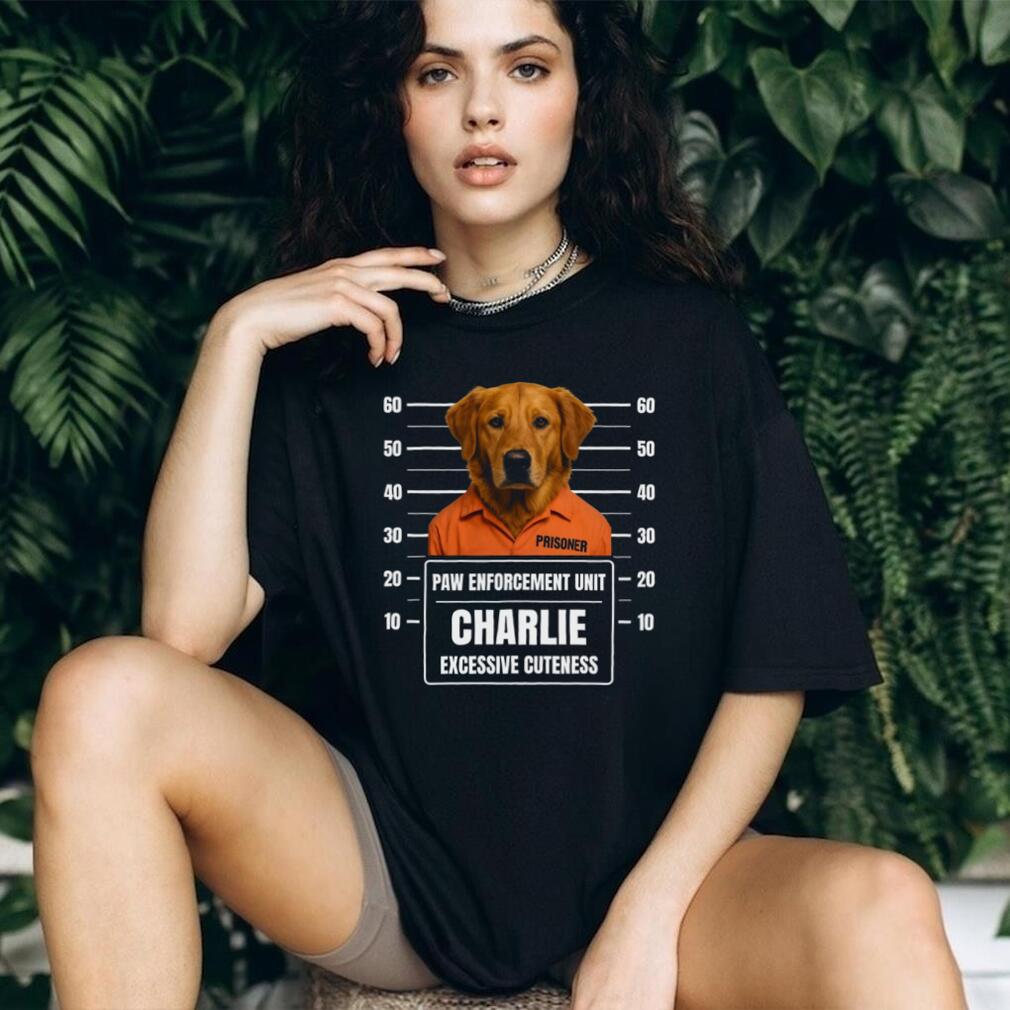 Custom Golden Retriever Mugshot Paw Enforcement Prisoner T Shirt