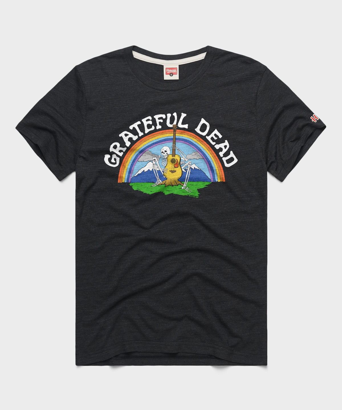 Grateful Dead Guitar Skeleton