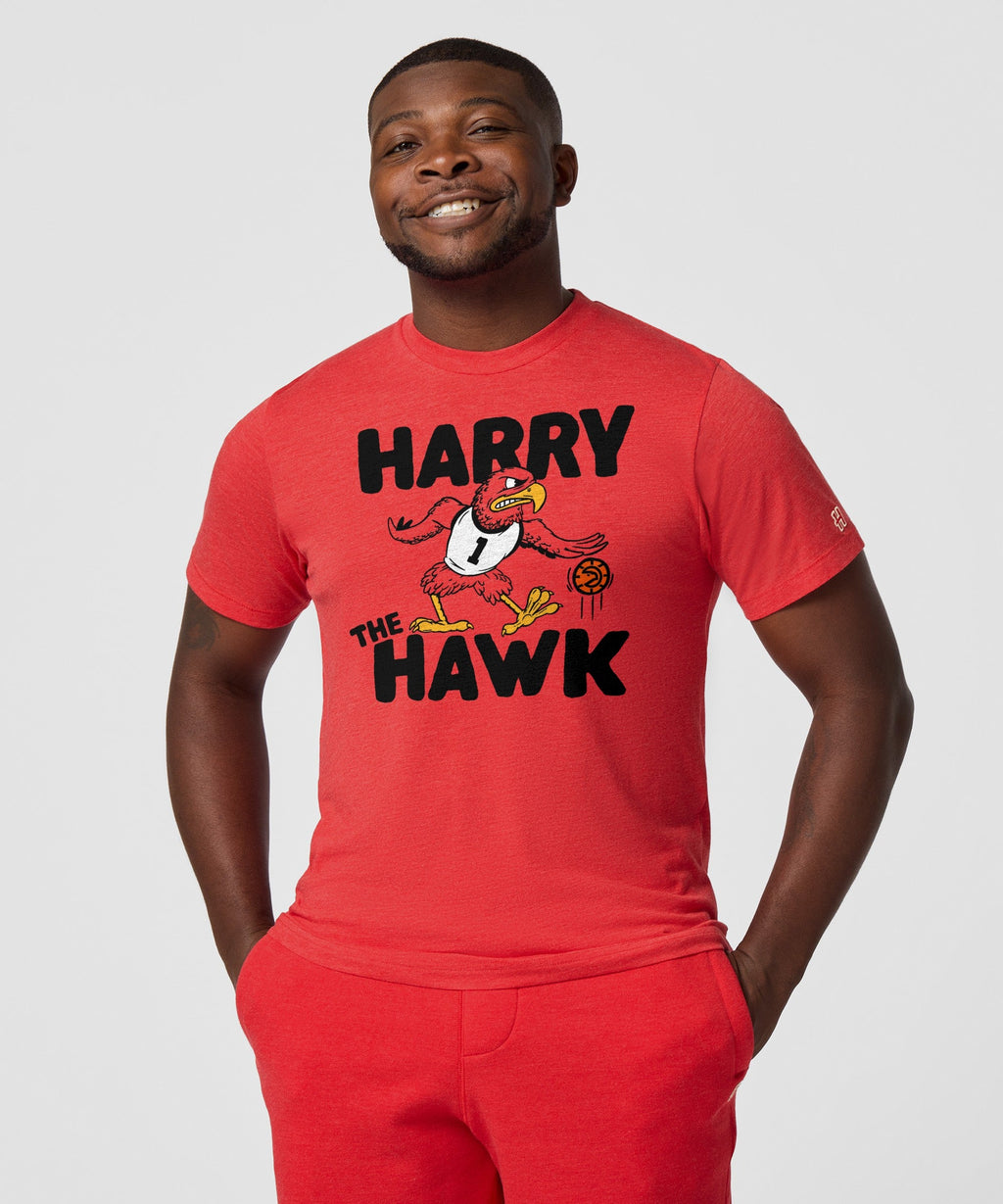 Harry The Hawk