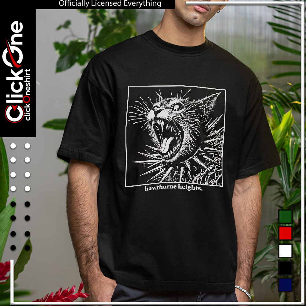 Hawthorne heights shirt