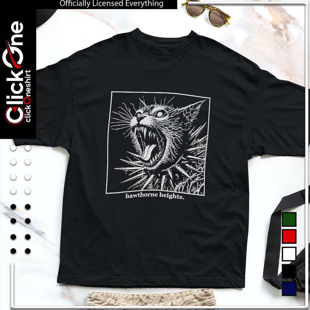 Hawthorne heights shirt