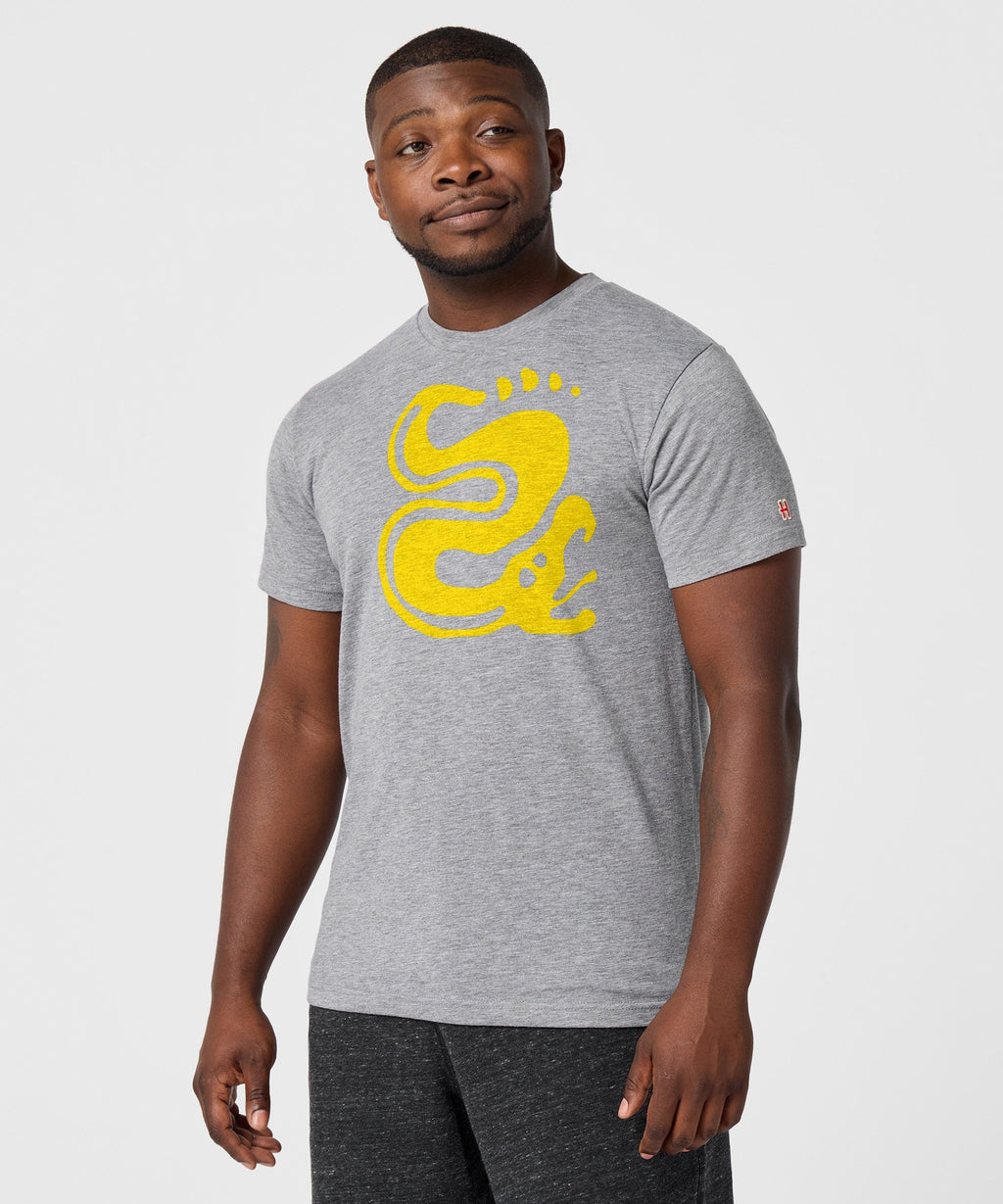 Hidden Temple Silver Snakes