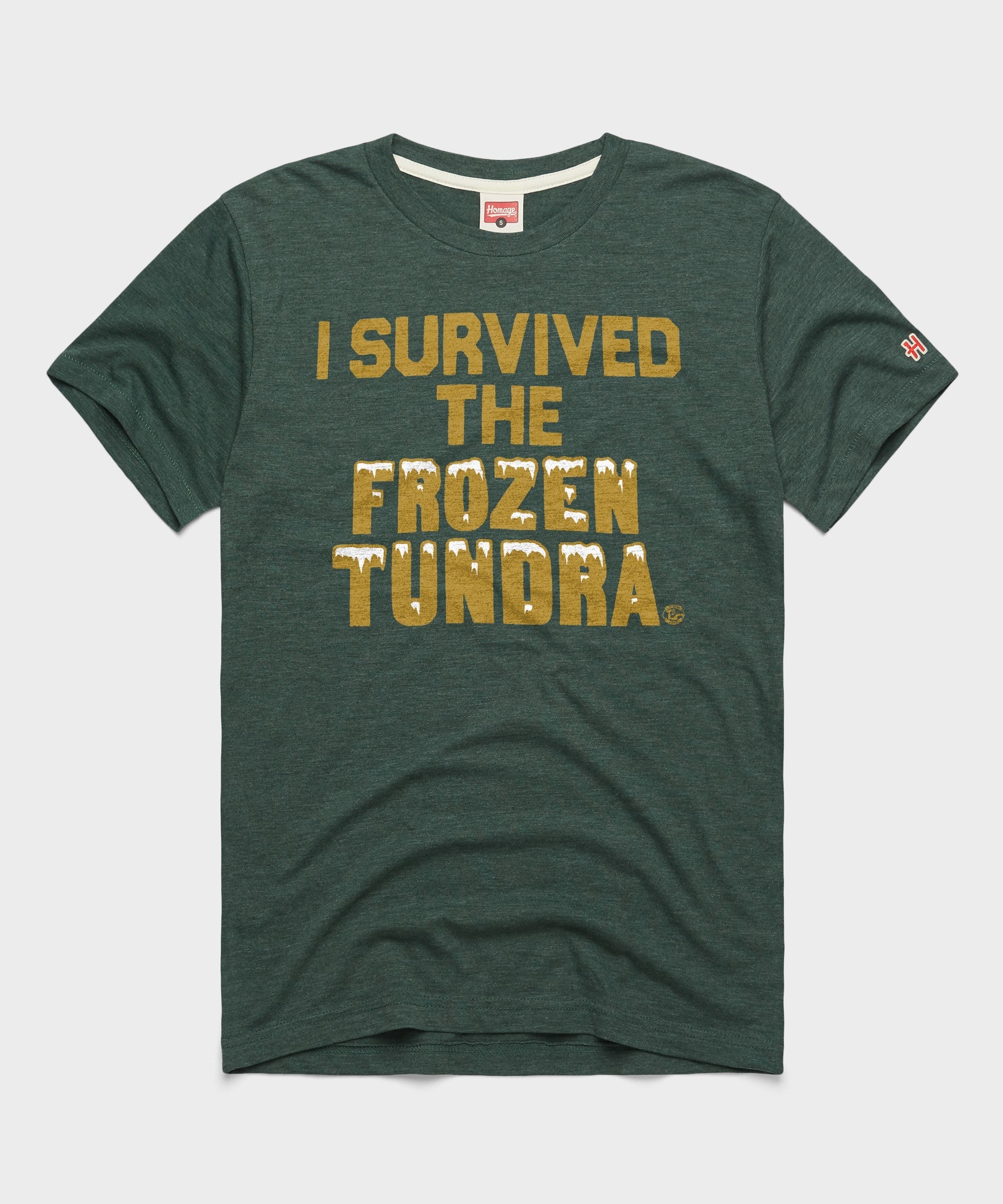I Survived the Frozen Tundra