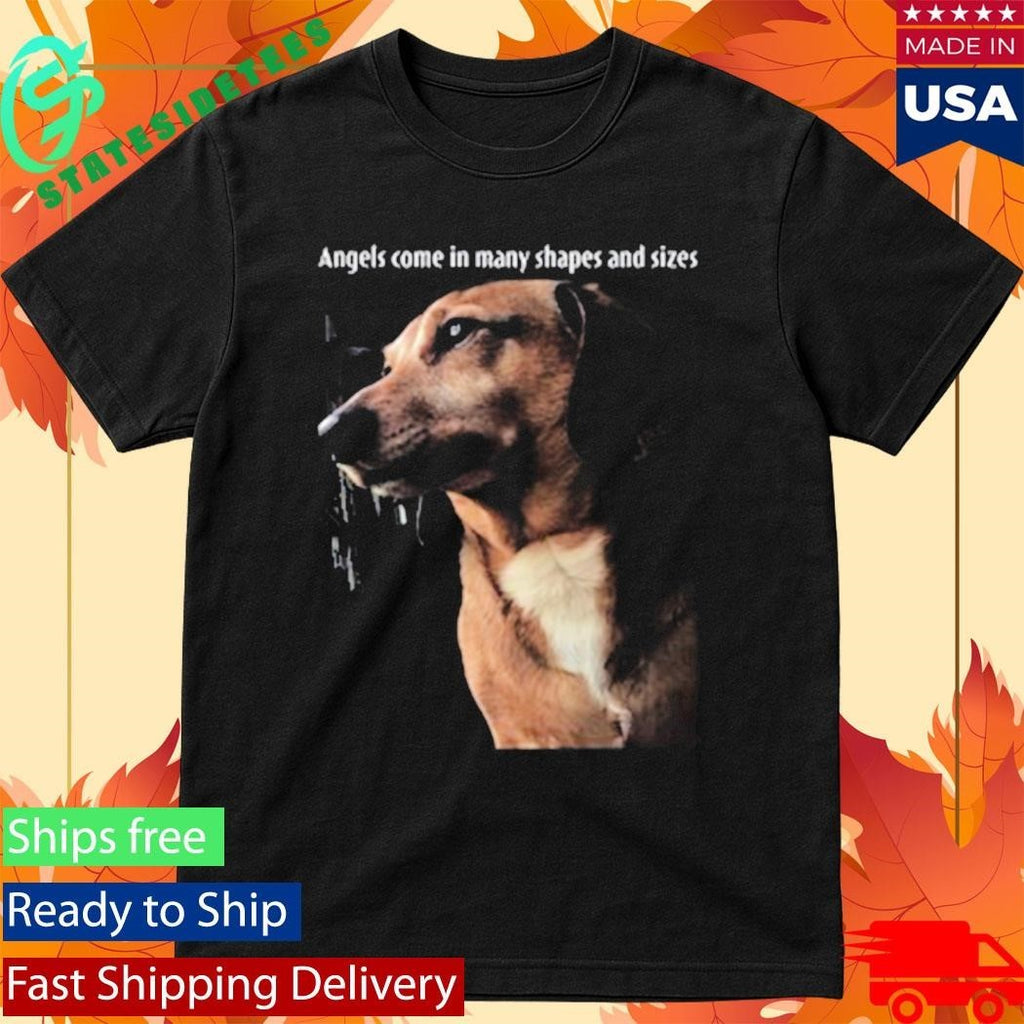 Mark Pellegrino Angels Come In Many Shapes And Sizes Shirt