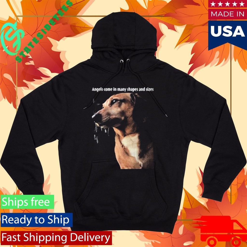 Mark Pellegrino Angels Come In Many Shapes And Sizes Shirt