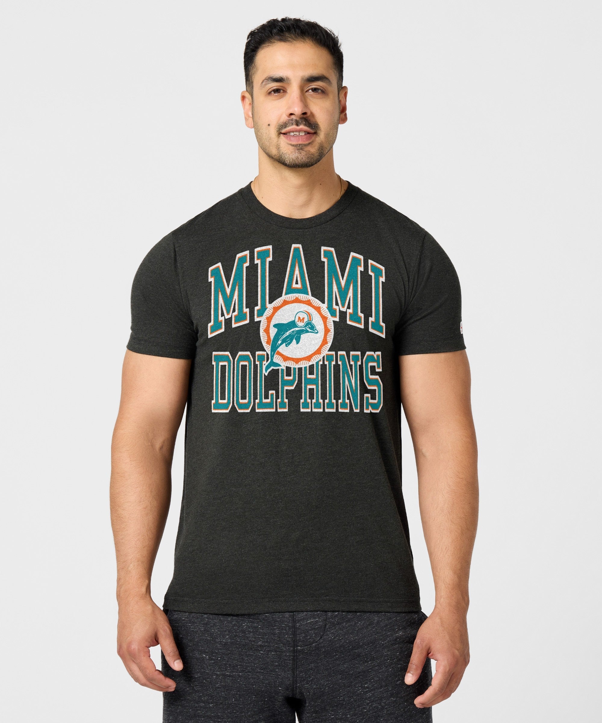 Miami Dolphins Arch