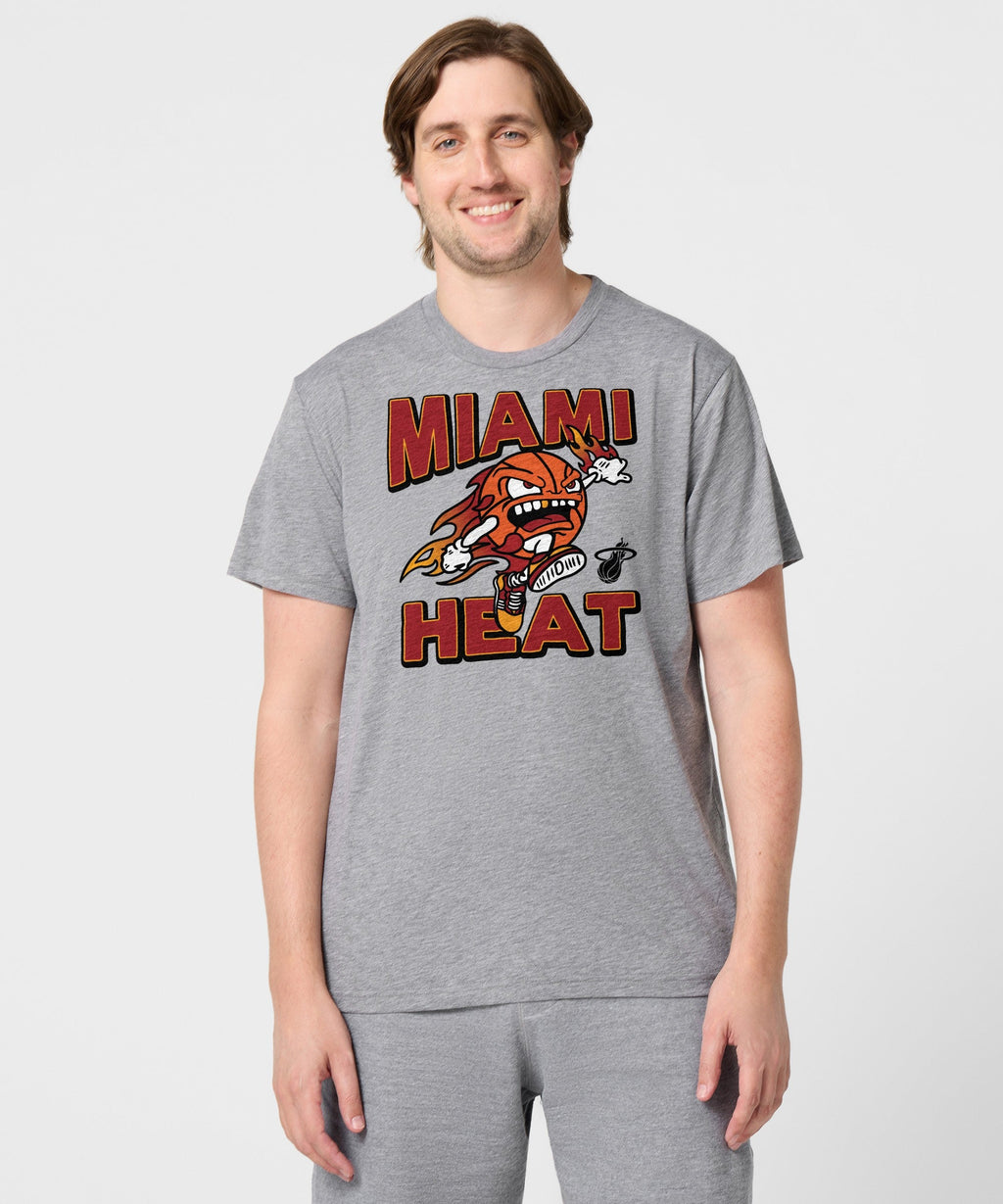 Miami Heat The Basketball