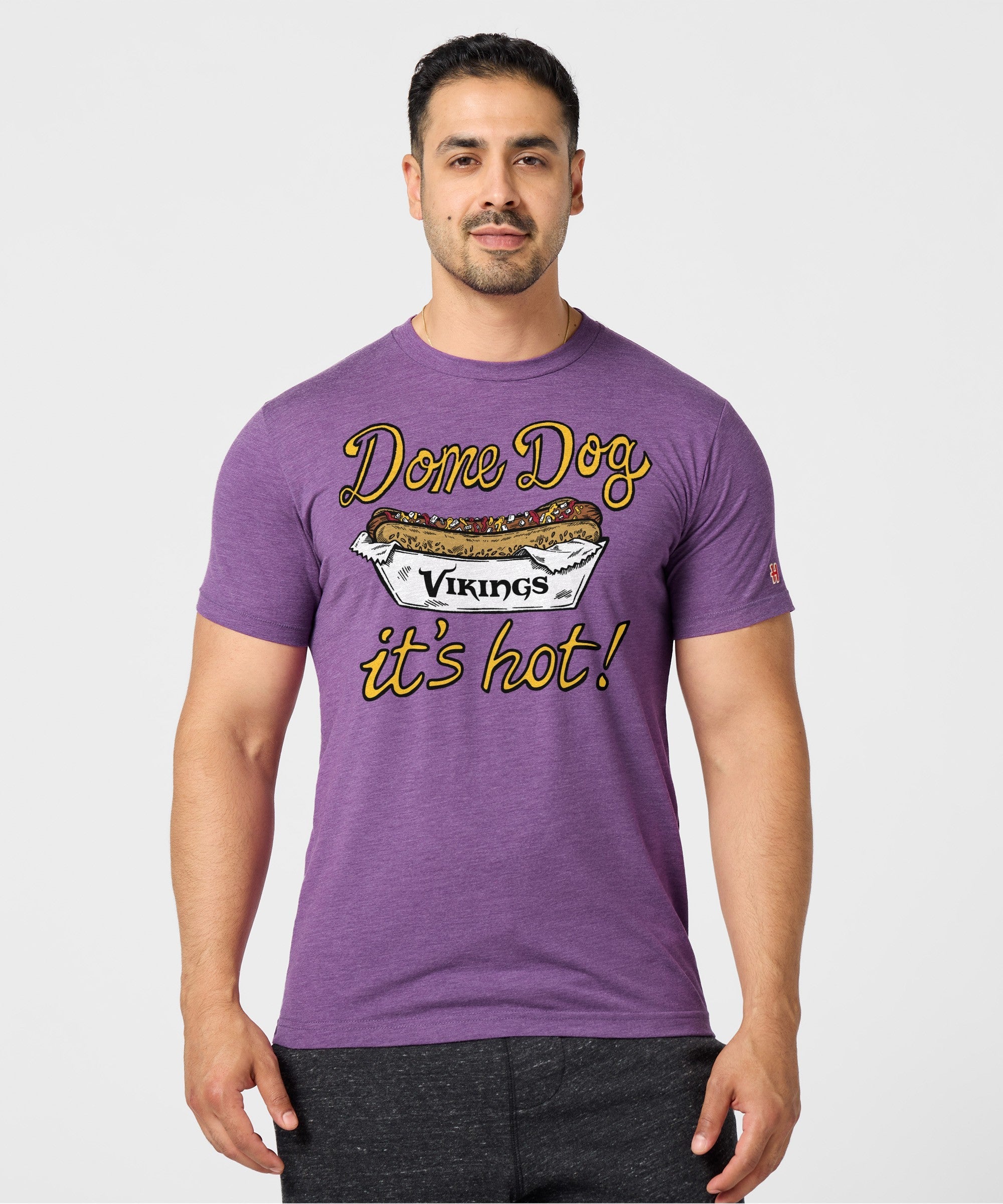 Minnesota Vikings Dome Dog