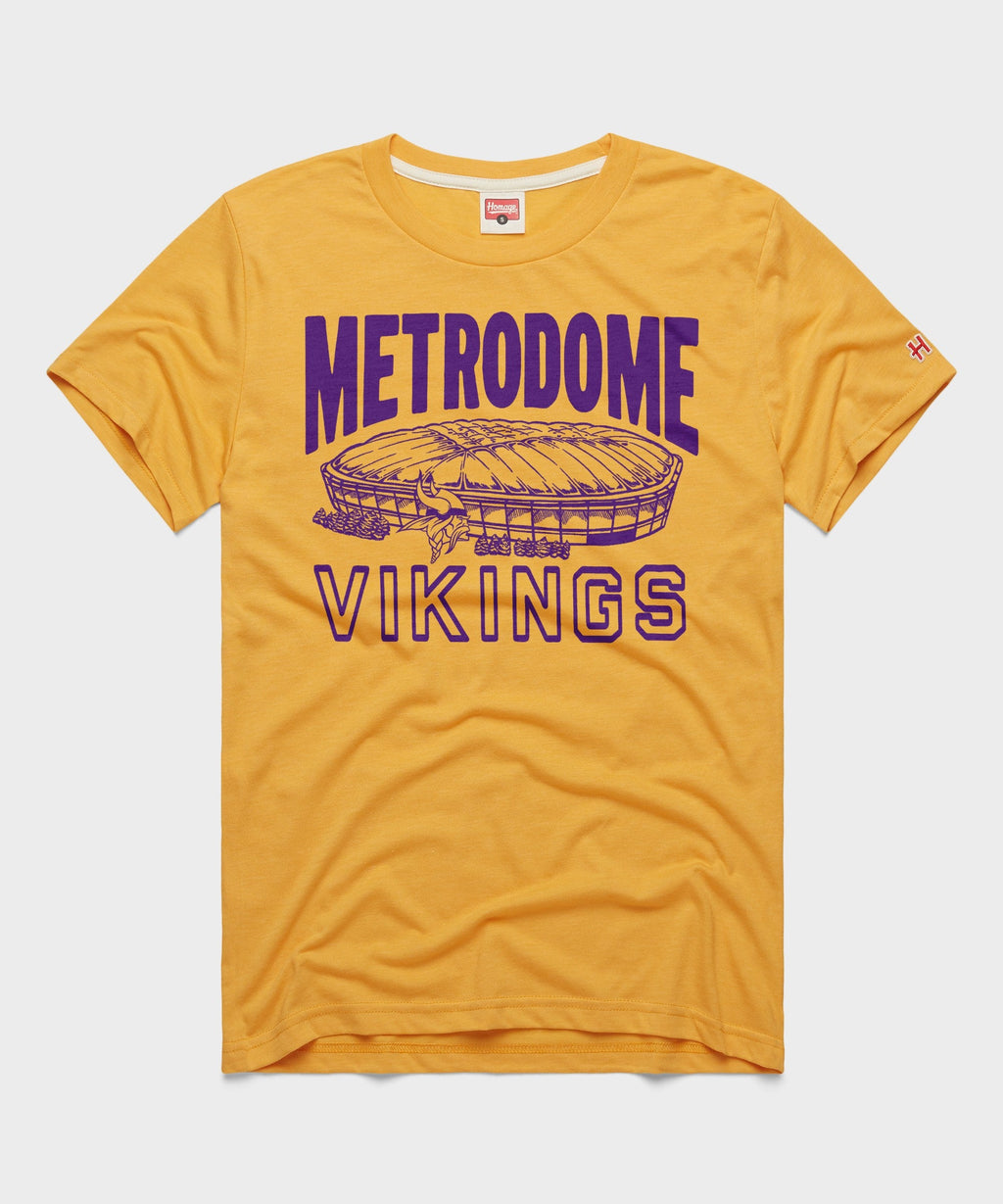 Minnesota Vikings Metrodome