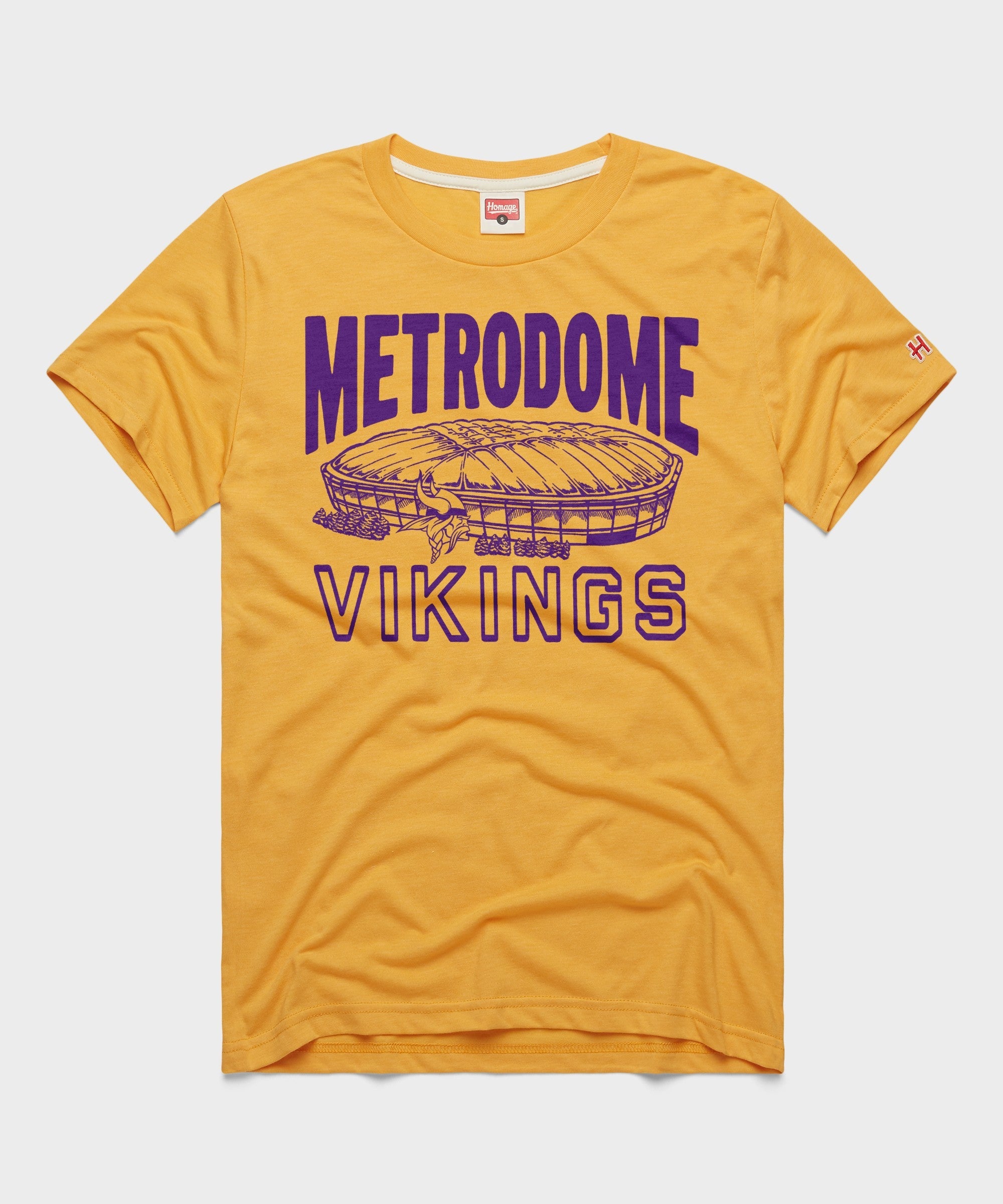 Minnesota Vikings Metrodome
