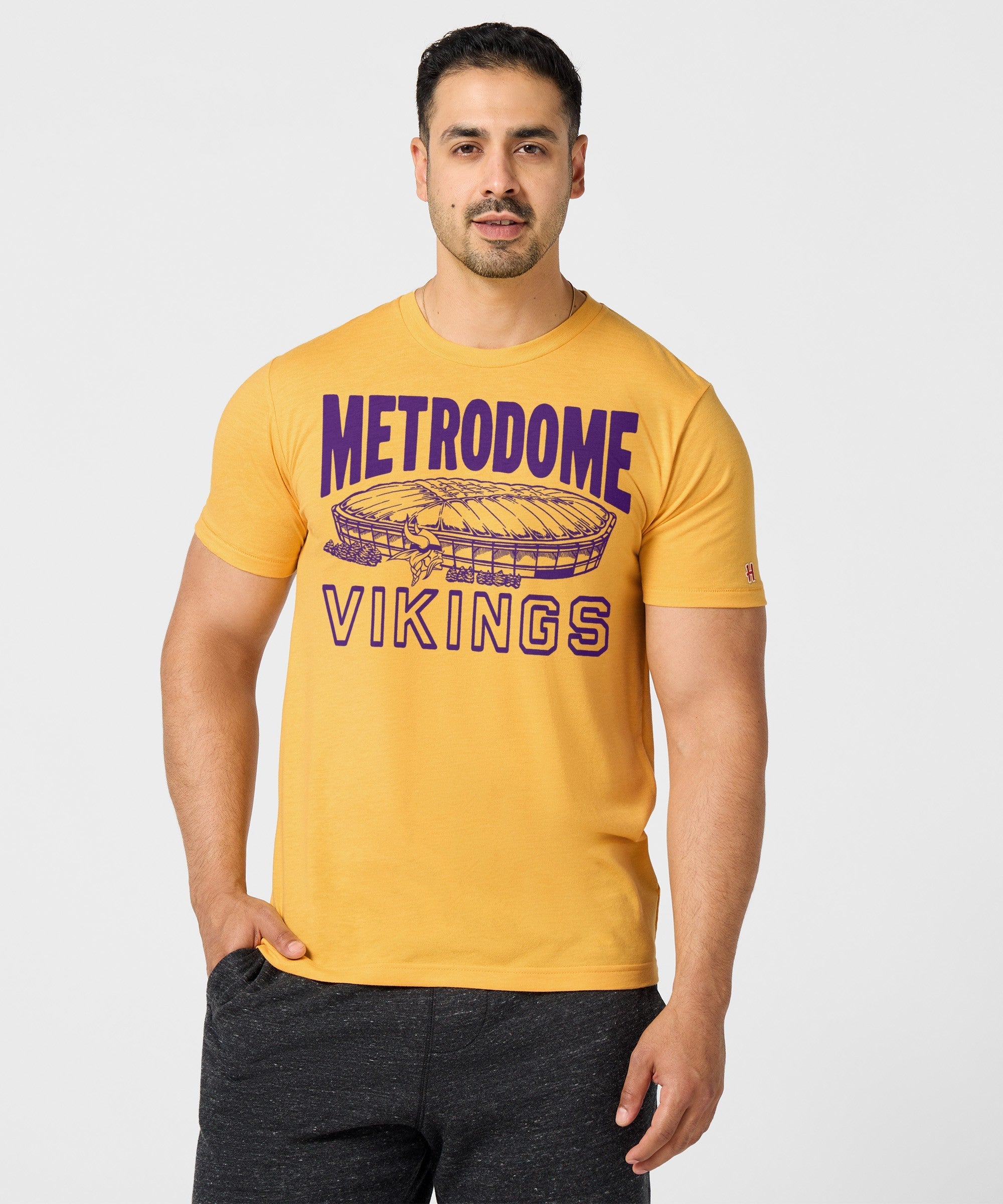 Minnesota Vikings Metrodome