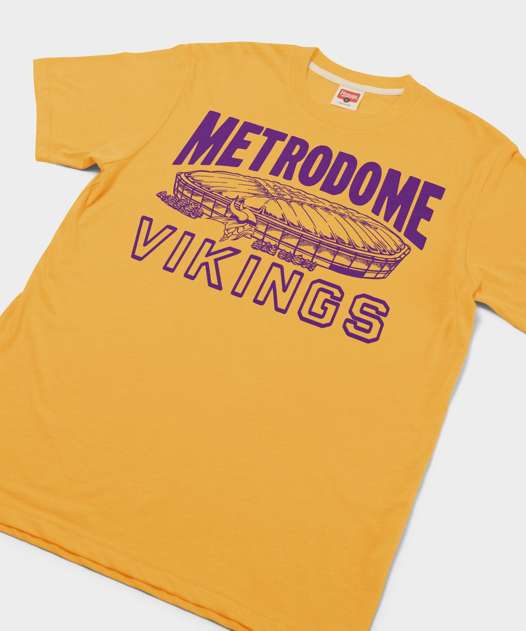 Minnesota Vikings Metrodome