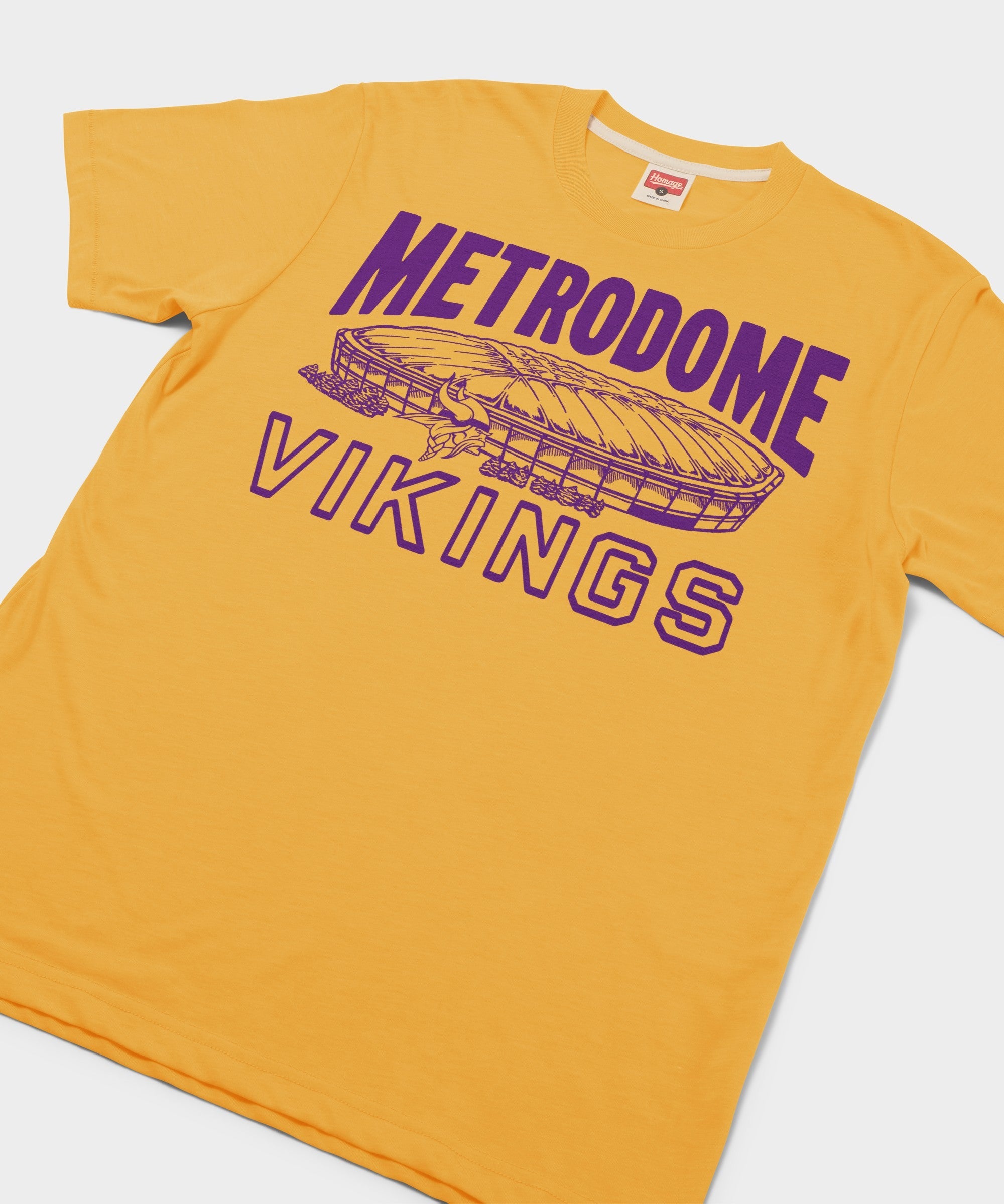 Minnesota Vikings Metrodome