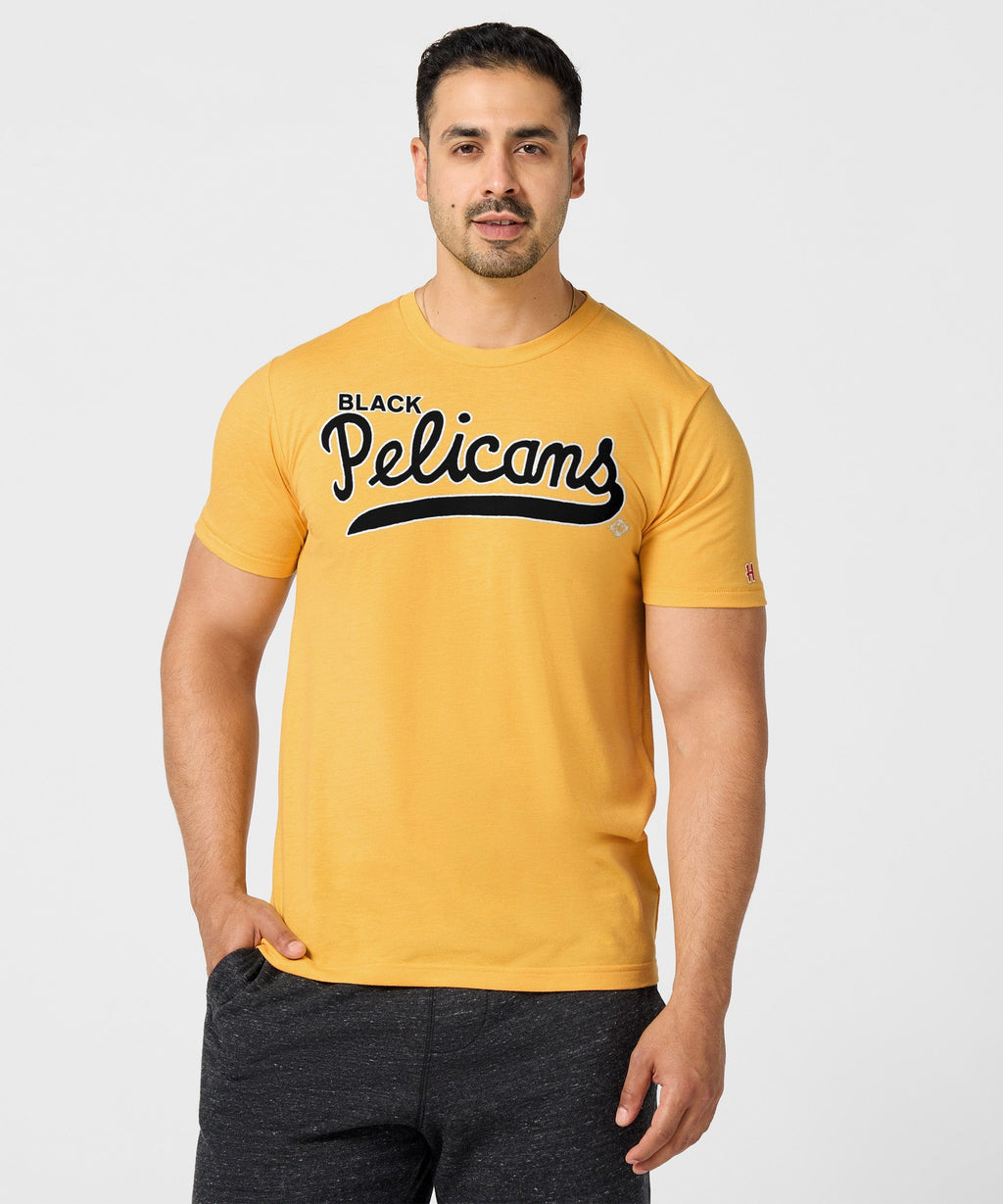 New Orleans Black Pelicans