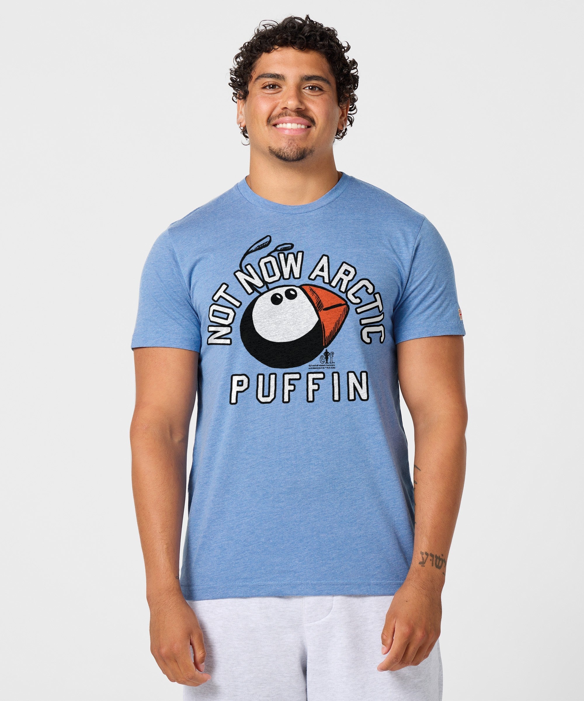 Not Now Arctic Puffin