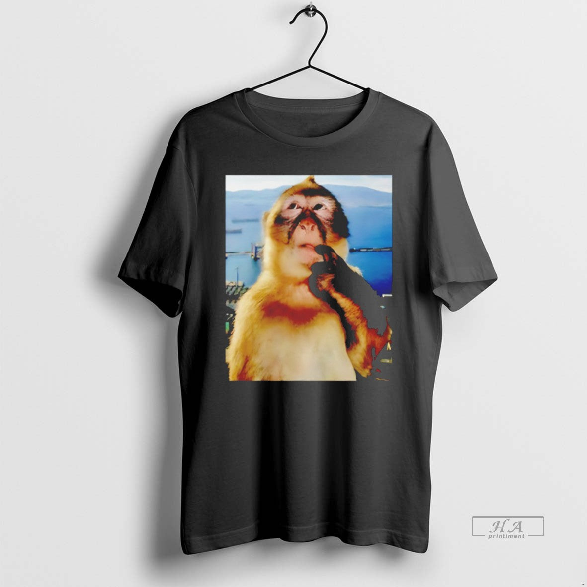 Official Monkey Thinking Meme