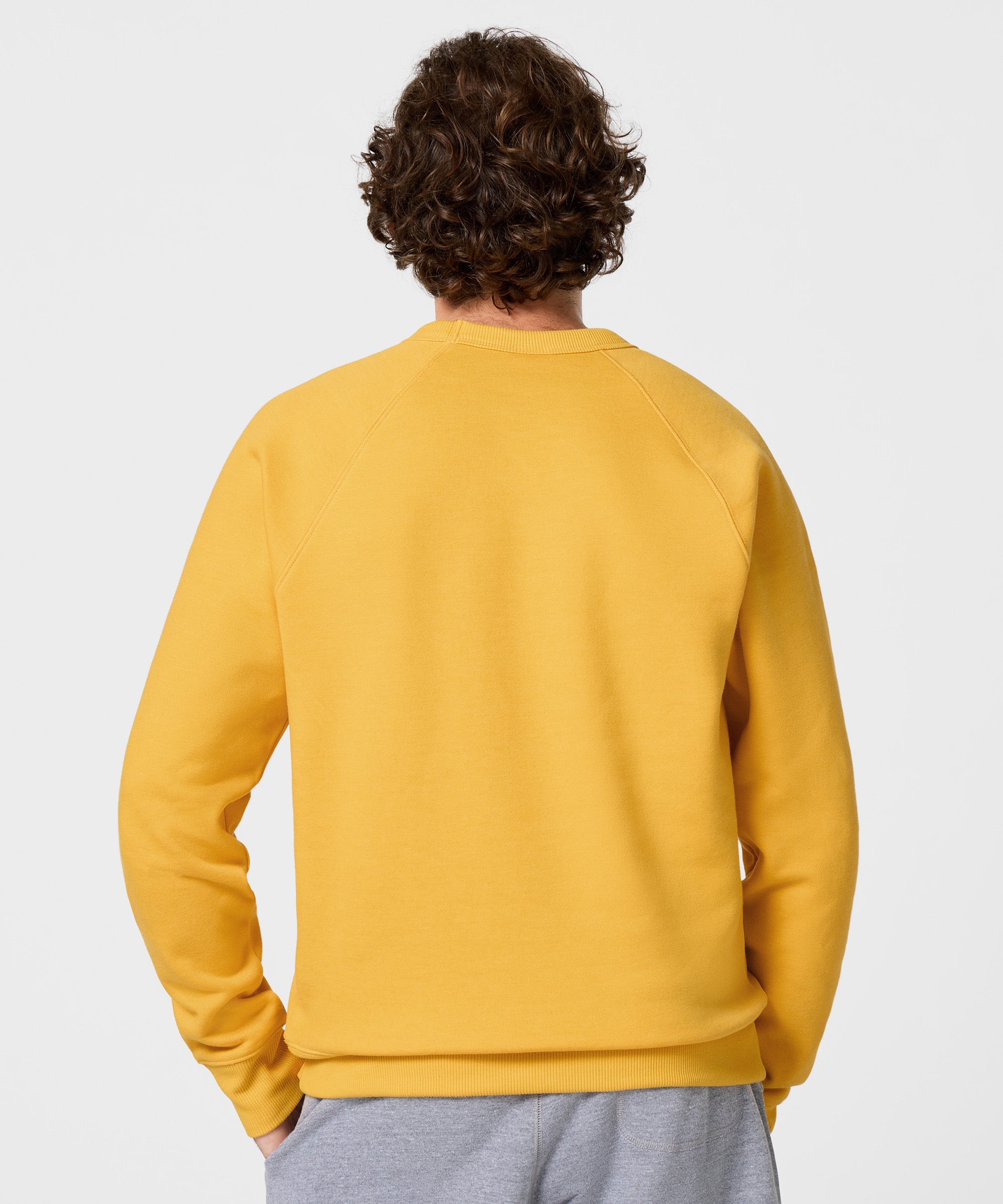 Olympic National Park Crewneck