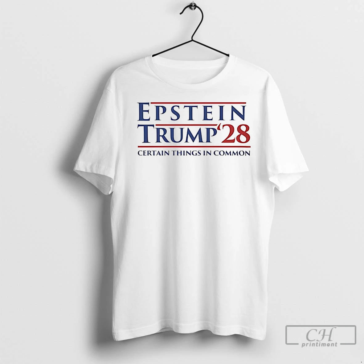 Premium Epstein Trump 2028 Certain Things In Common T-Shirts, Hoodie, Sweatshirt | InkNestWear.com