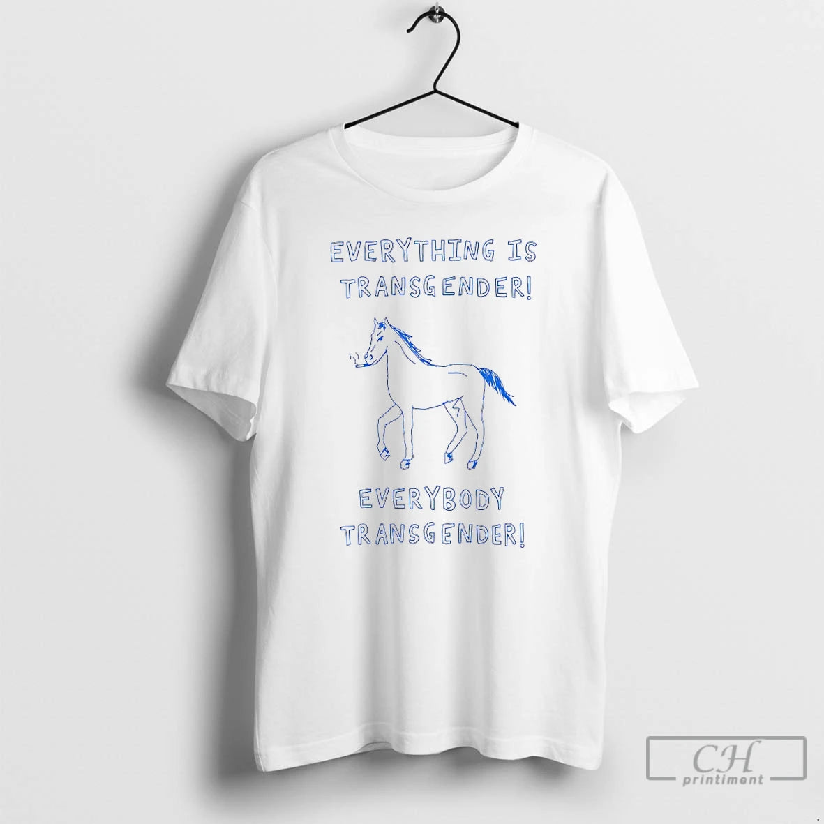 Premium Horse Everything Is Transgender Everybody Transgender T-Shirts, Hoodie, Sweatshirt | InkNestWear.com