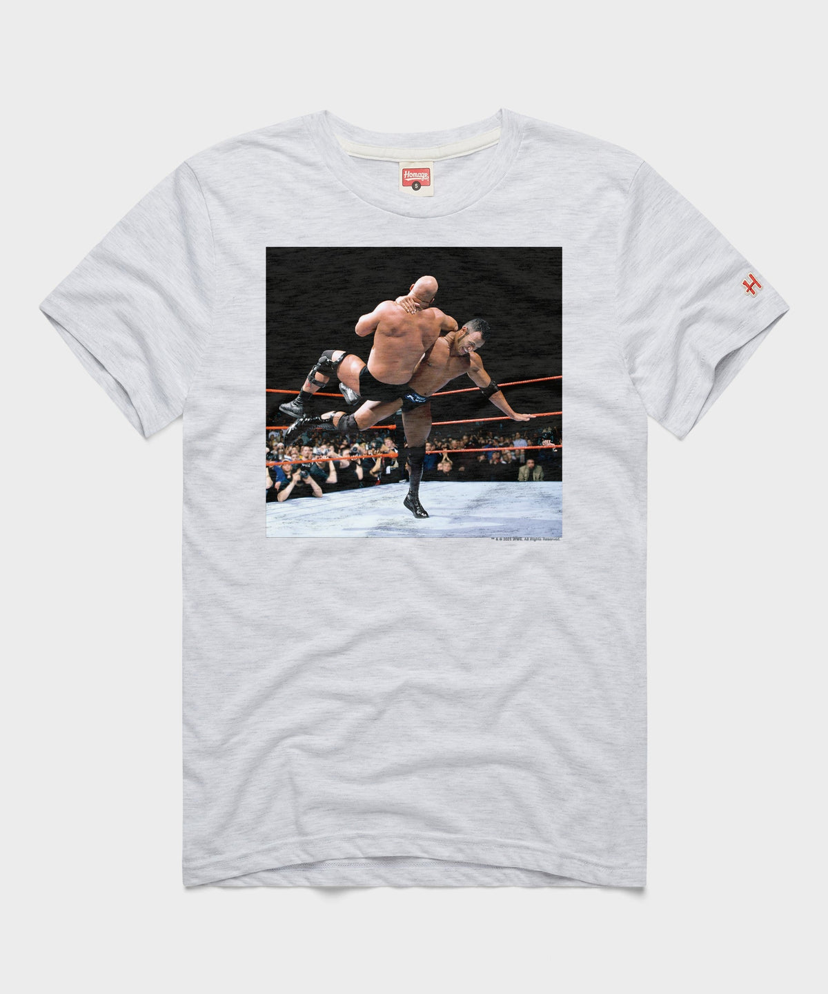 Rock Bottom WrestleMania XV