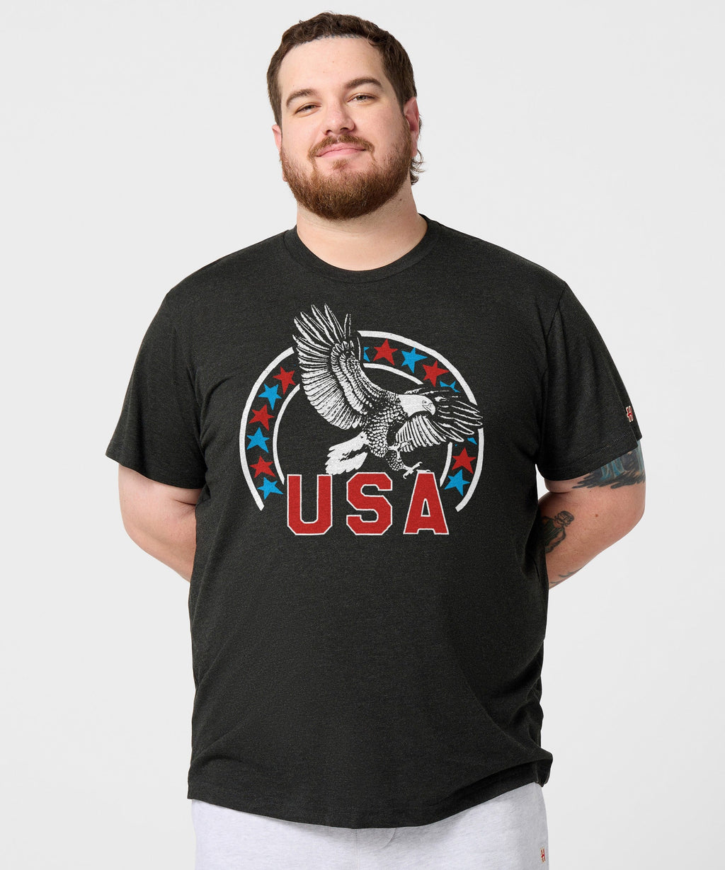 USA Bald Eagle
