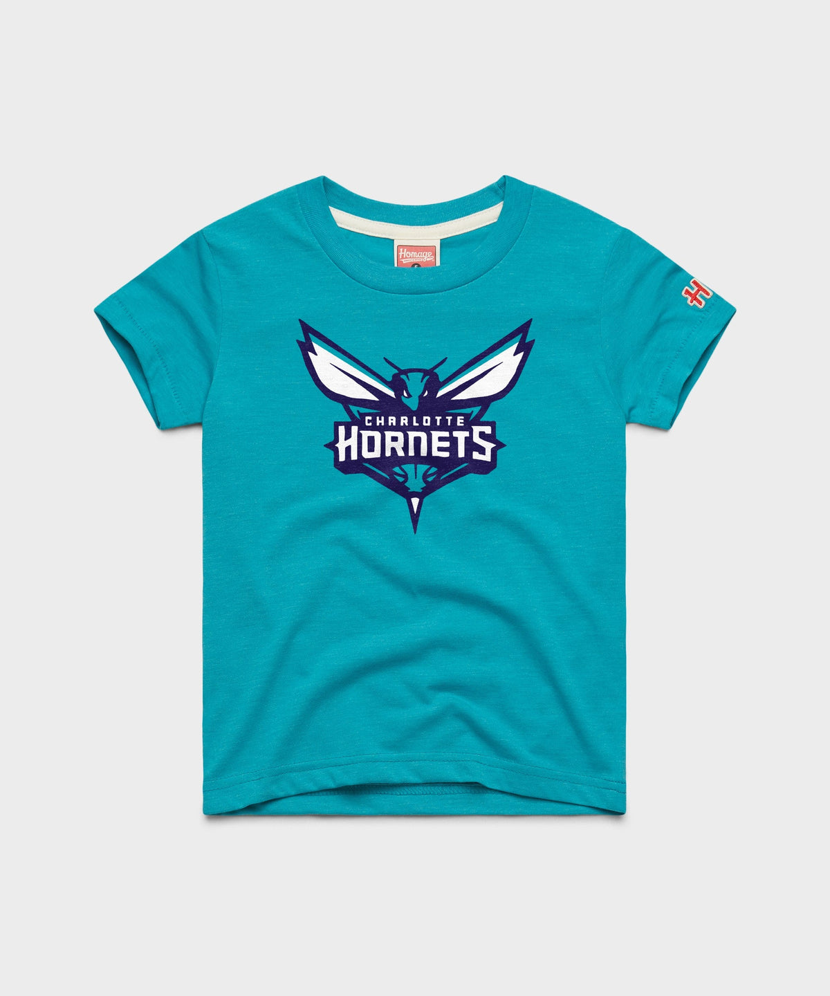 Youth Charlotte Hornets Logo