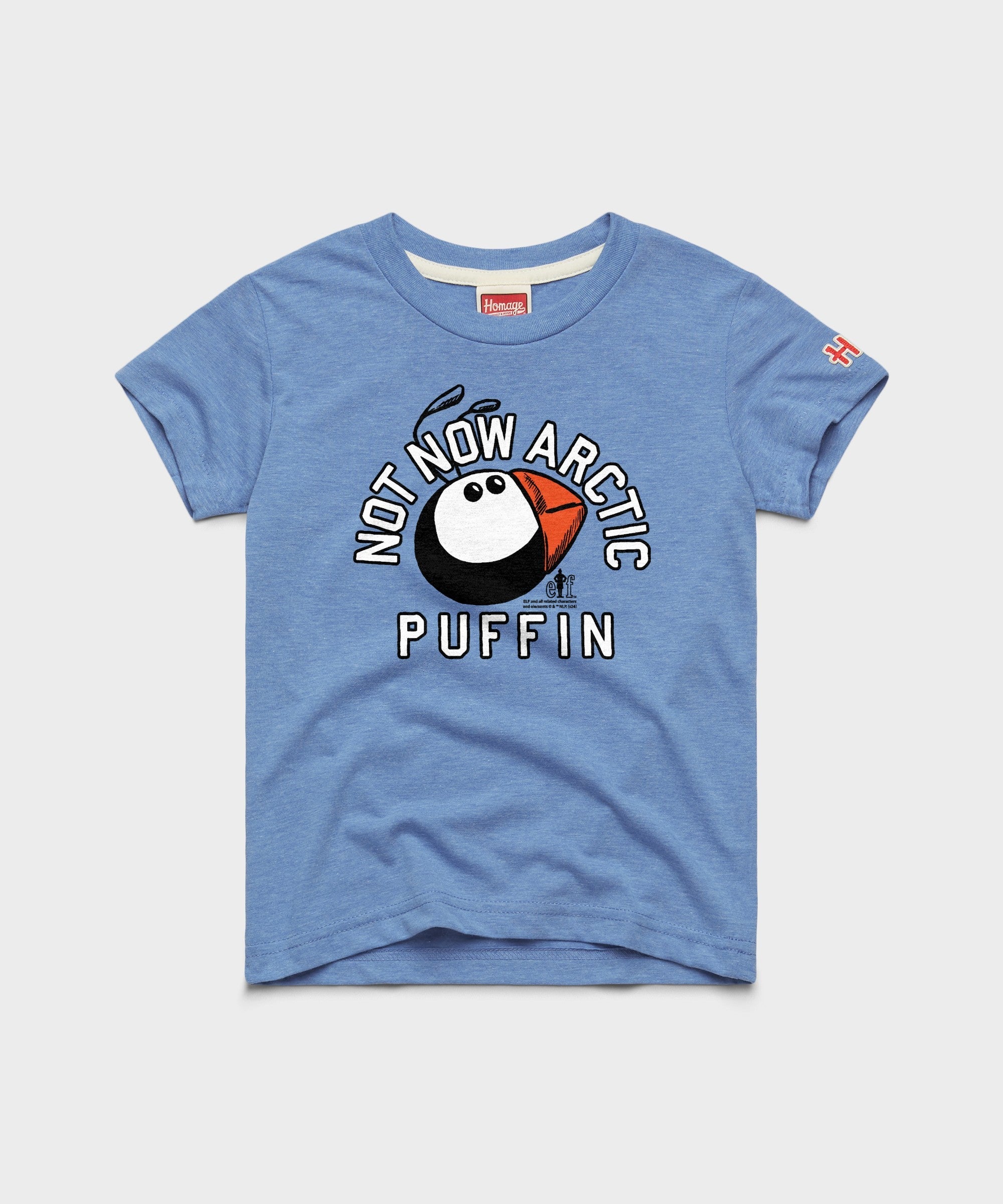 Youth Not Now Arctic Puffin