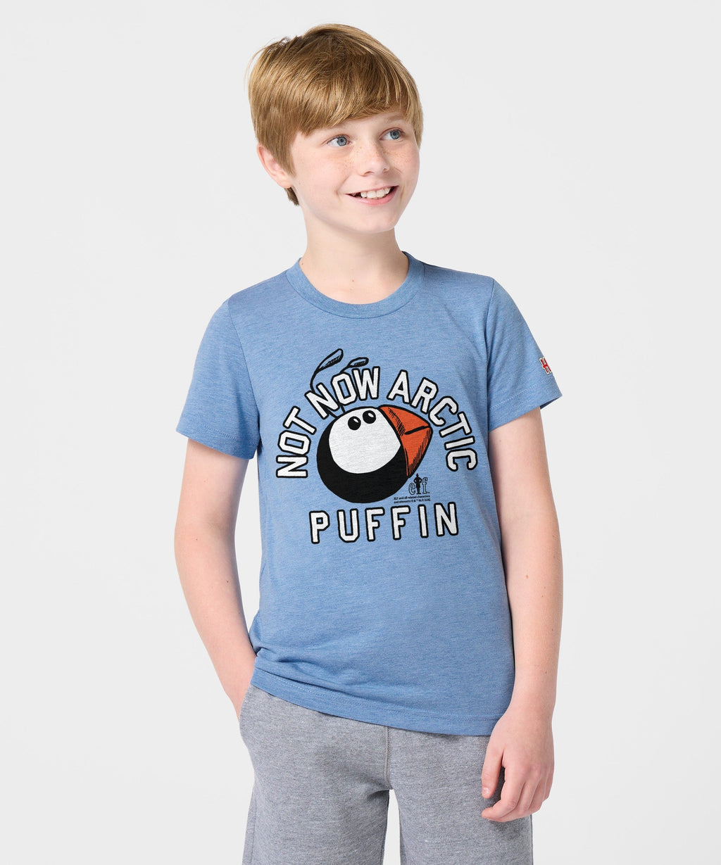 Youth Not Now Arctic Puffin