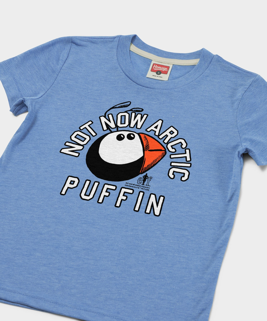 Youth Not Now Arctic Puffin