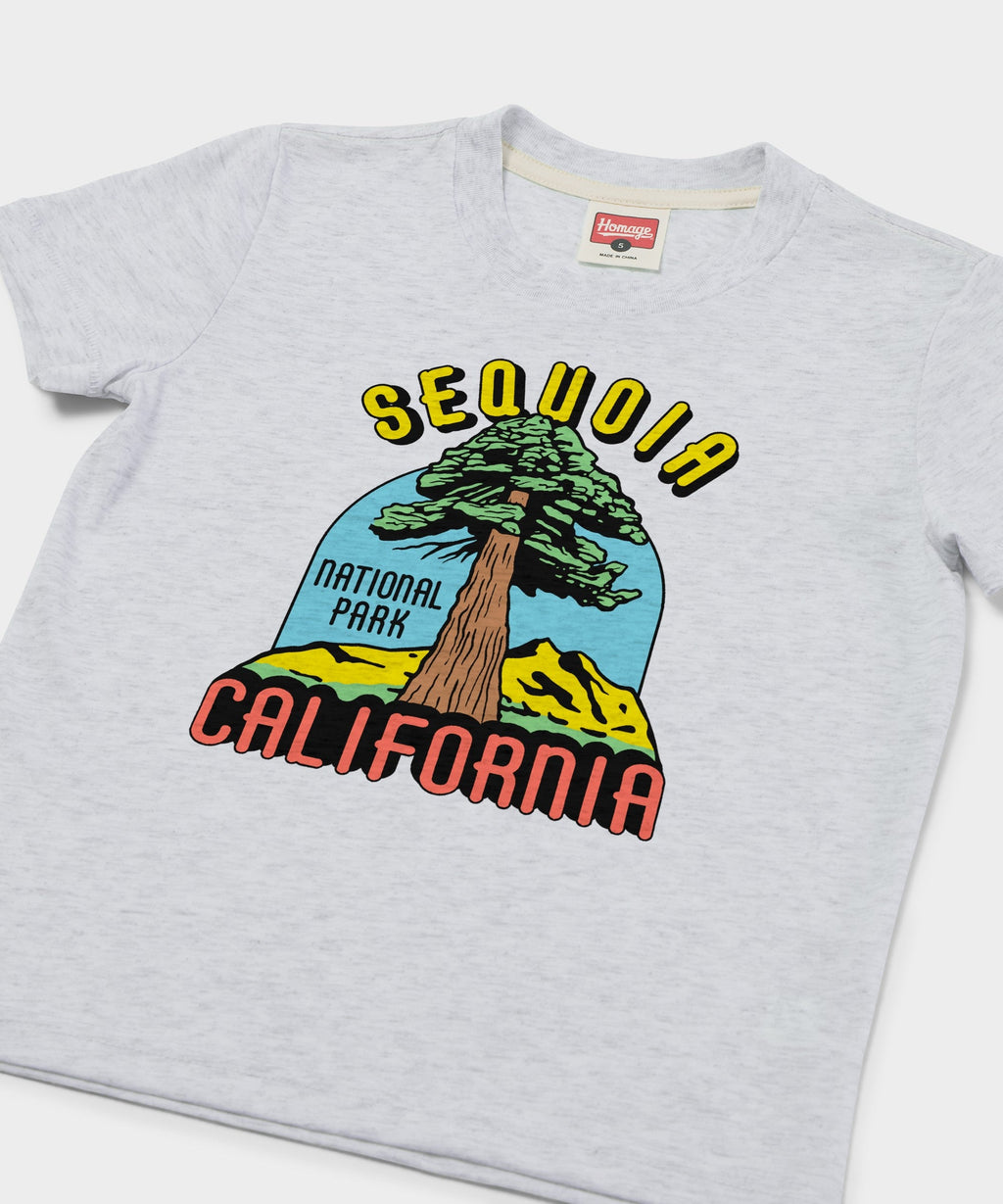 Youth Sequoia National Park