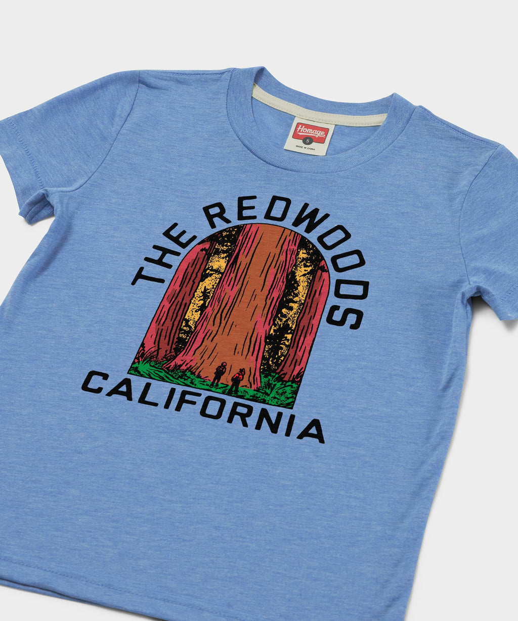 Youth The Redwoods California
