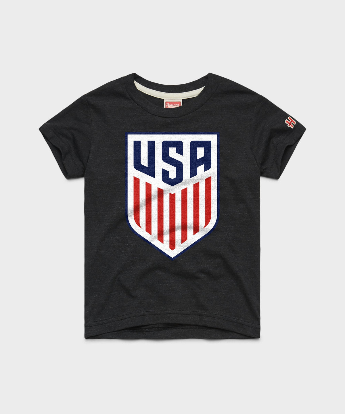Youth USA Crest