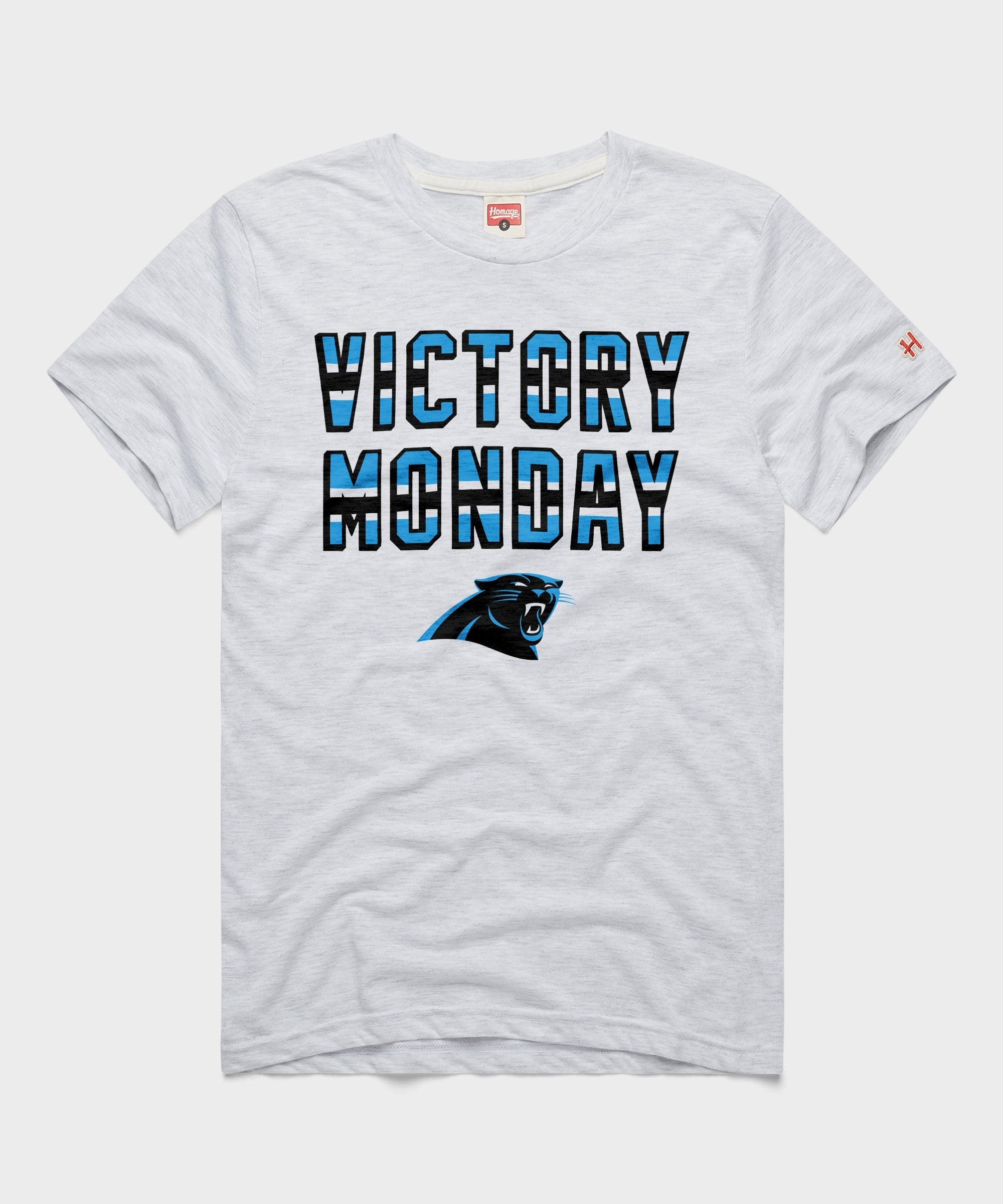 Carolina Panthers Victory Monday