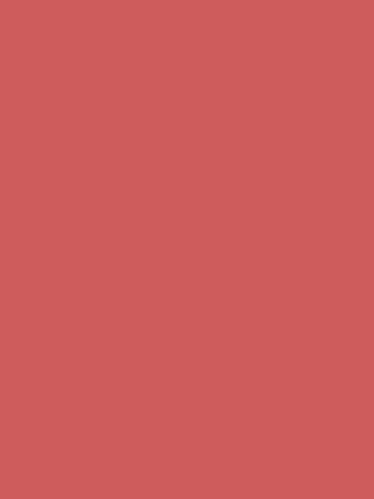 Indian Red by ARTPICS SIMPLE