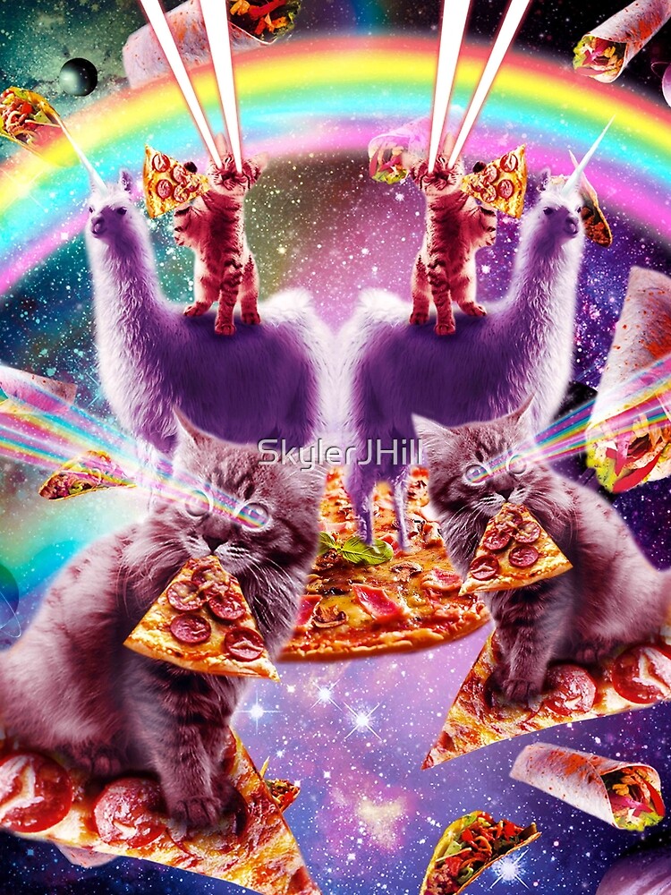 Laser Pizza Cat On Llama, Lazer Kitty Cats In Rainbow Space by SkylerJHill